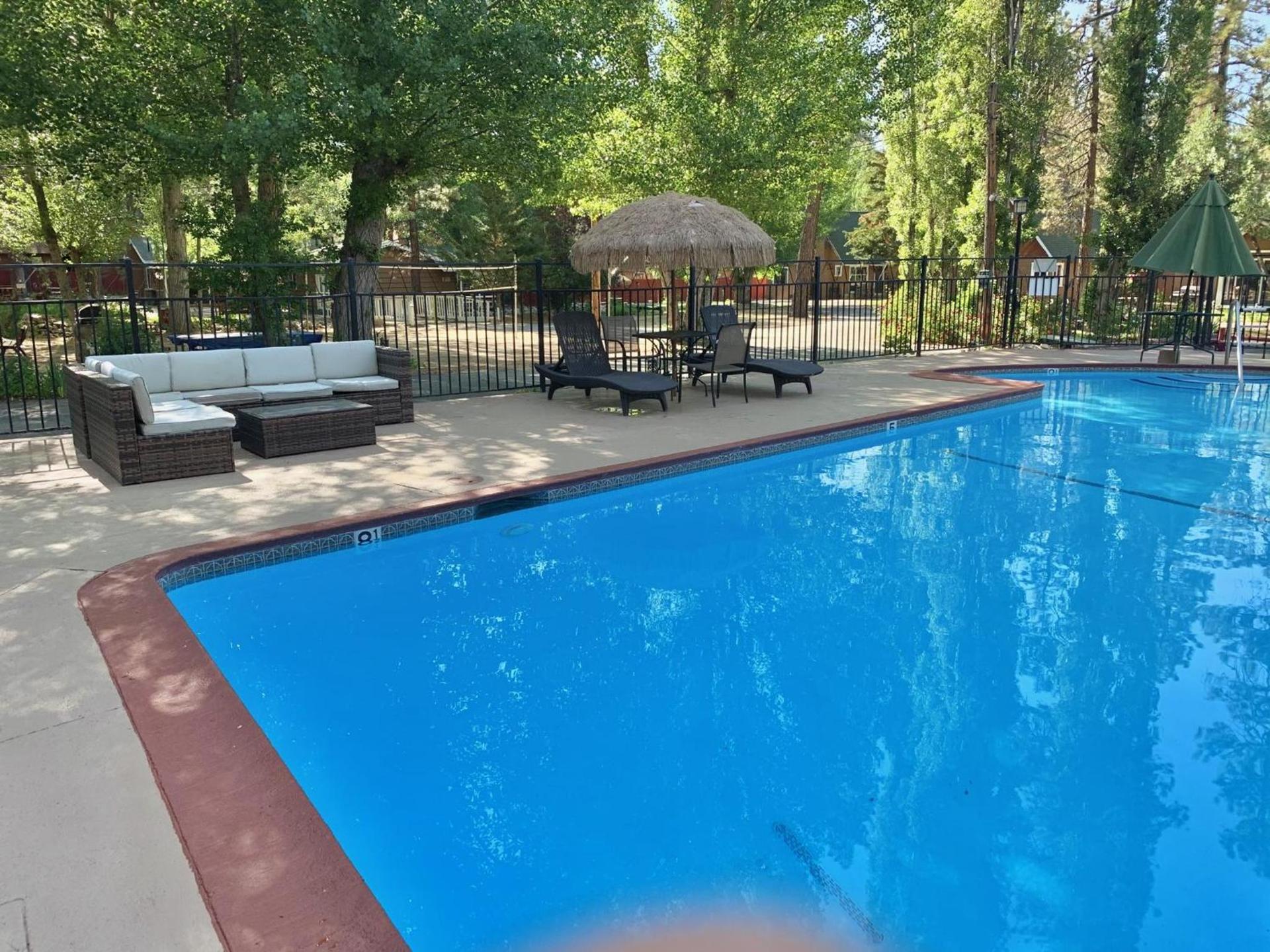 Grey Squirrel Resort photo 5