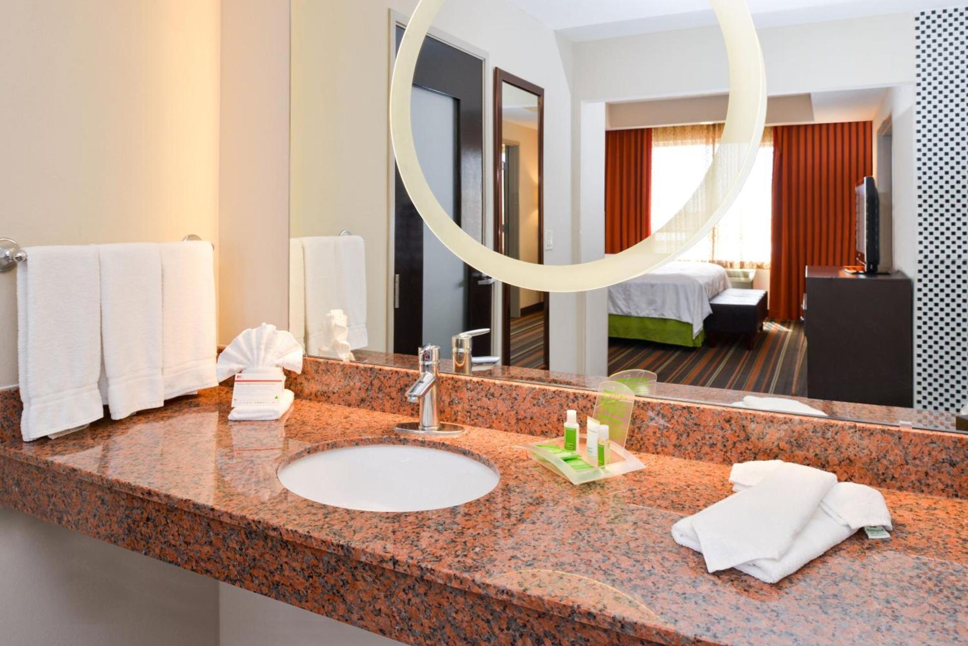 Holiday Inn Amarillo West Medical Center by IHG photo 14