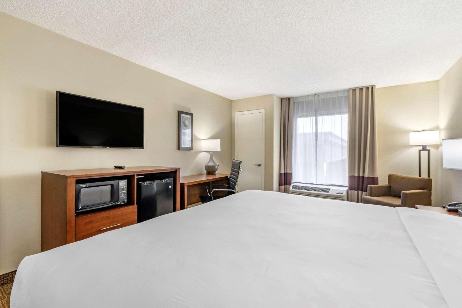 Comfort Inn & Suites St Pete - Clearwater International Airport photo 20