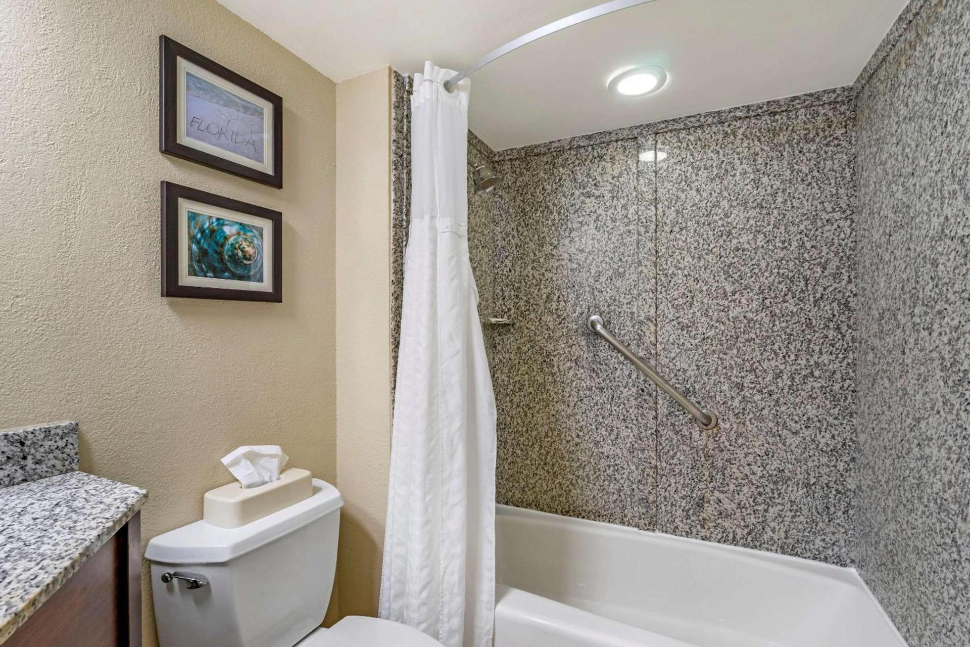 Comfort Inn & Suites St Pete - Clearwater International Airport photo 24