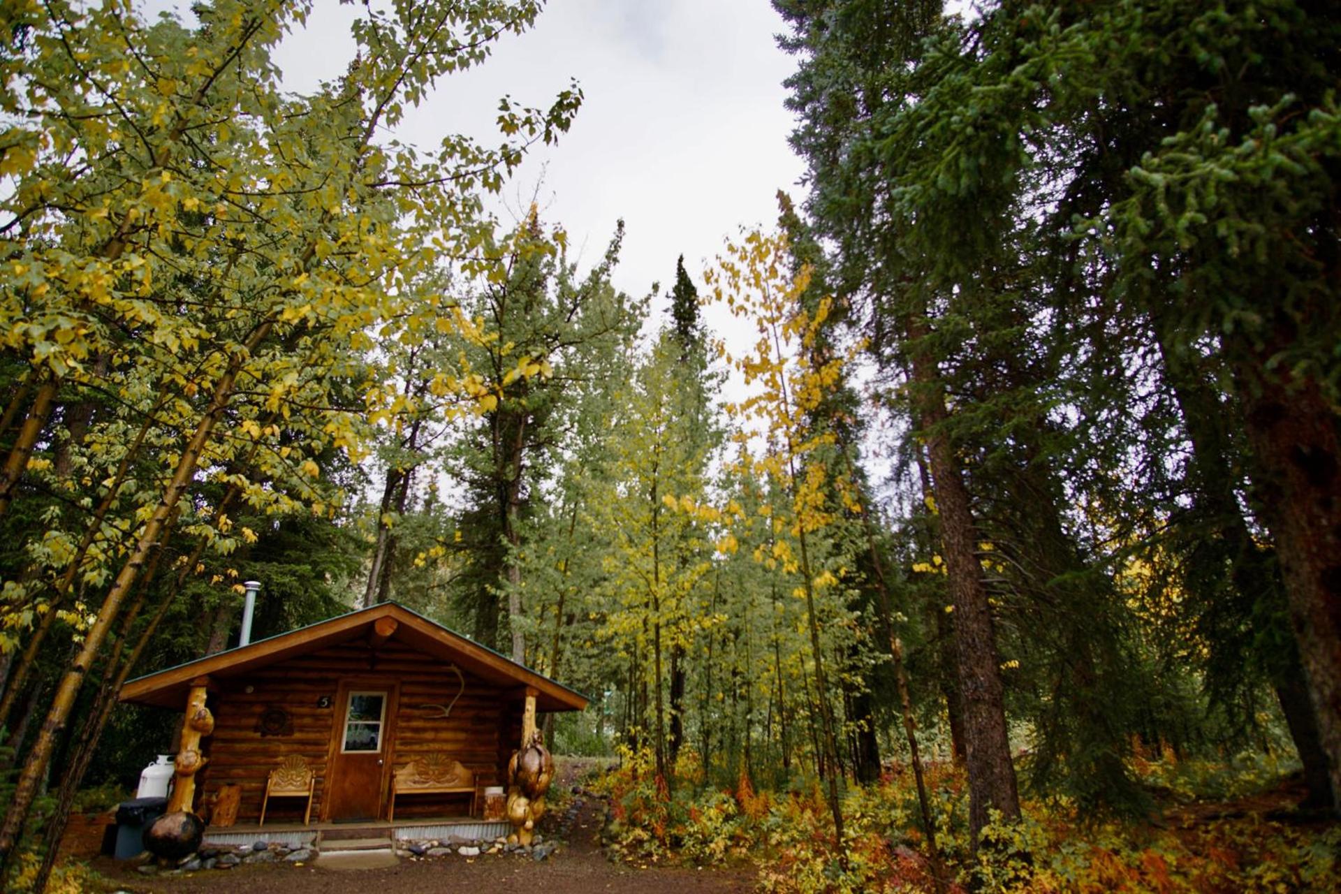 Carlo Creek Cabins photo 23