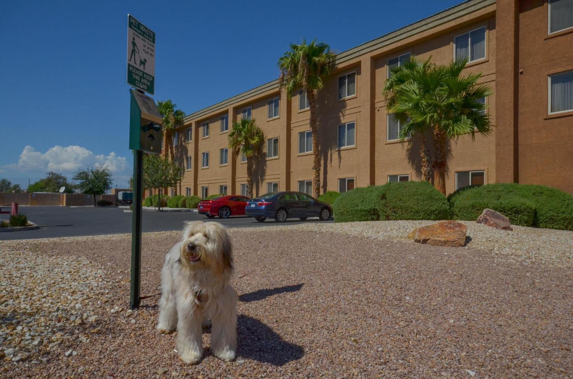 Holiday Inn Express Las Vegas-Nellis by IHG photo 27
