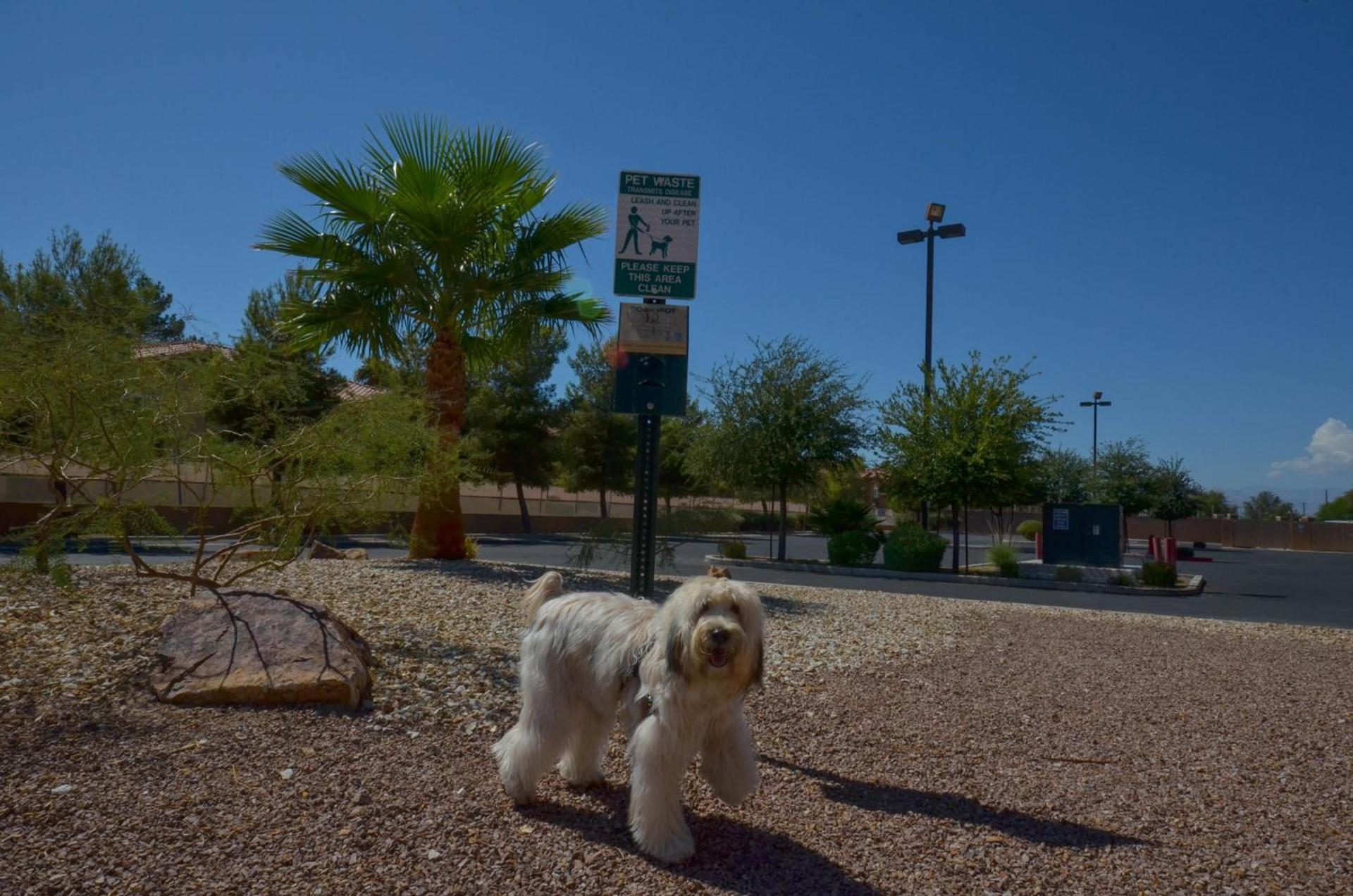 Holiday Inn Express Las Vegas-Nellis by IHG photo 35