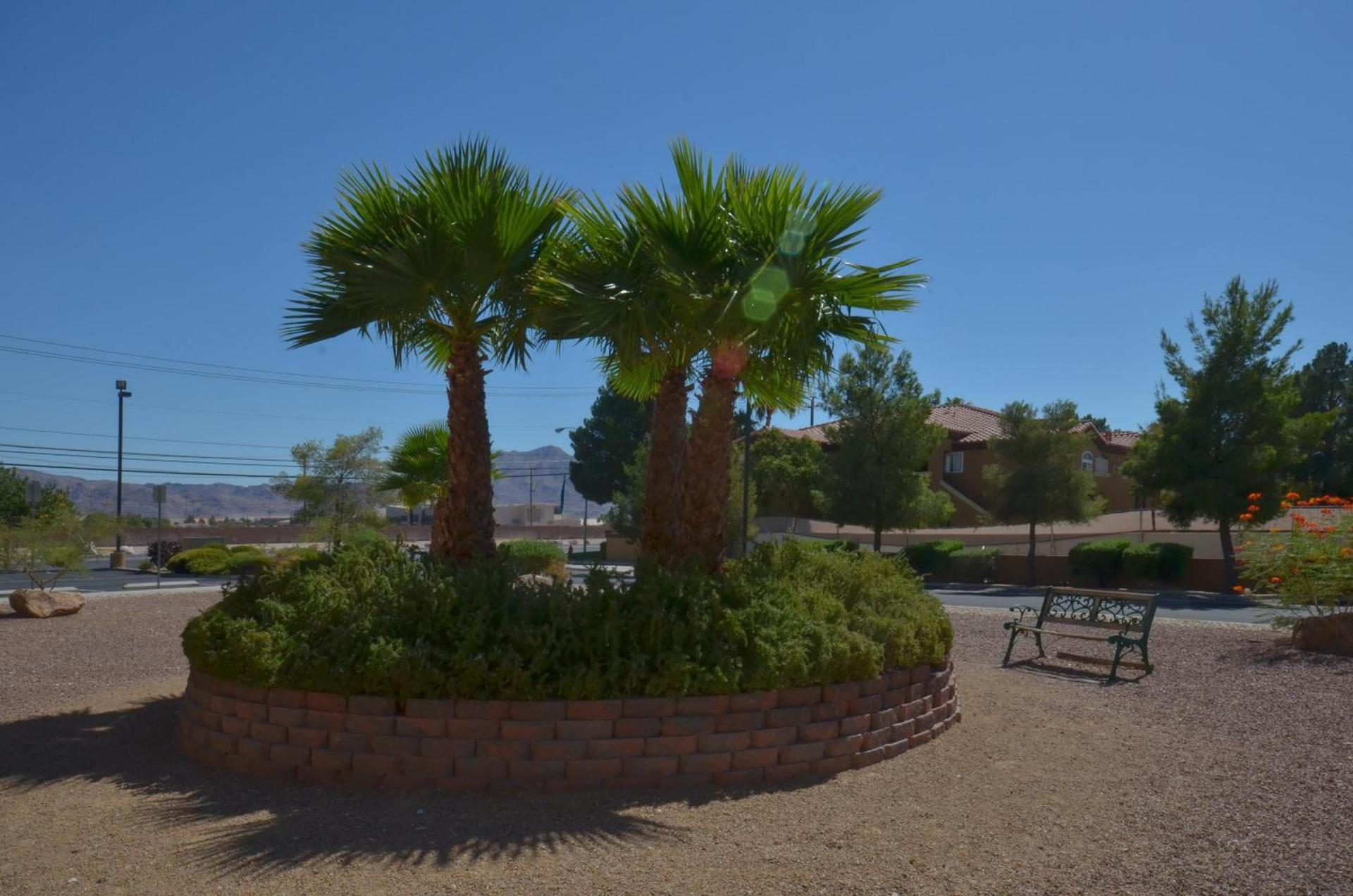 Holiday Inn Express Las Vegas-Nellis by IHG photo 21