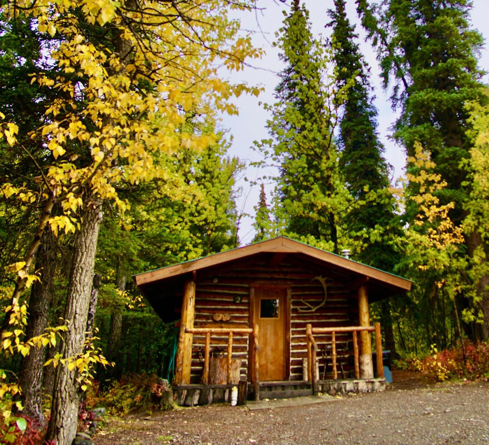 Carlo Creek Cabins photo 40