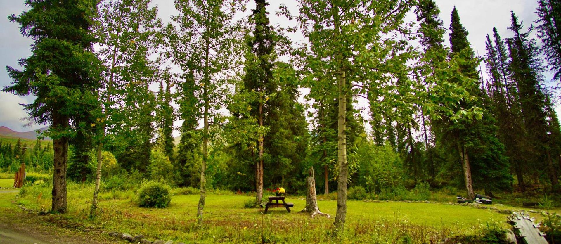 Carlo Creek Cabins photo 39