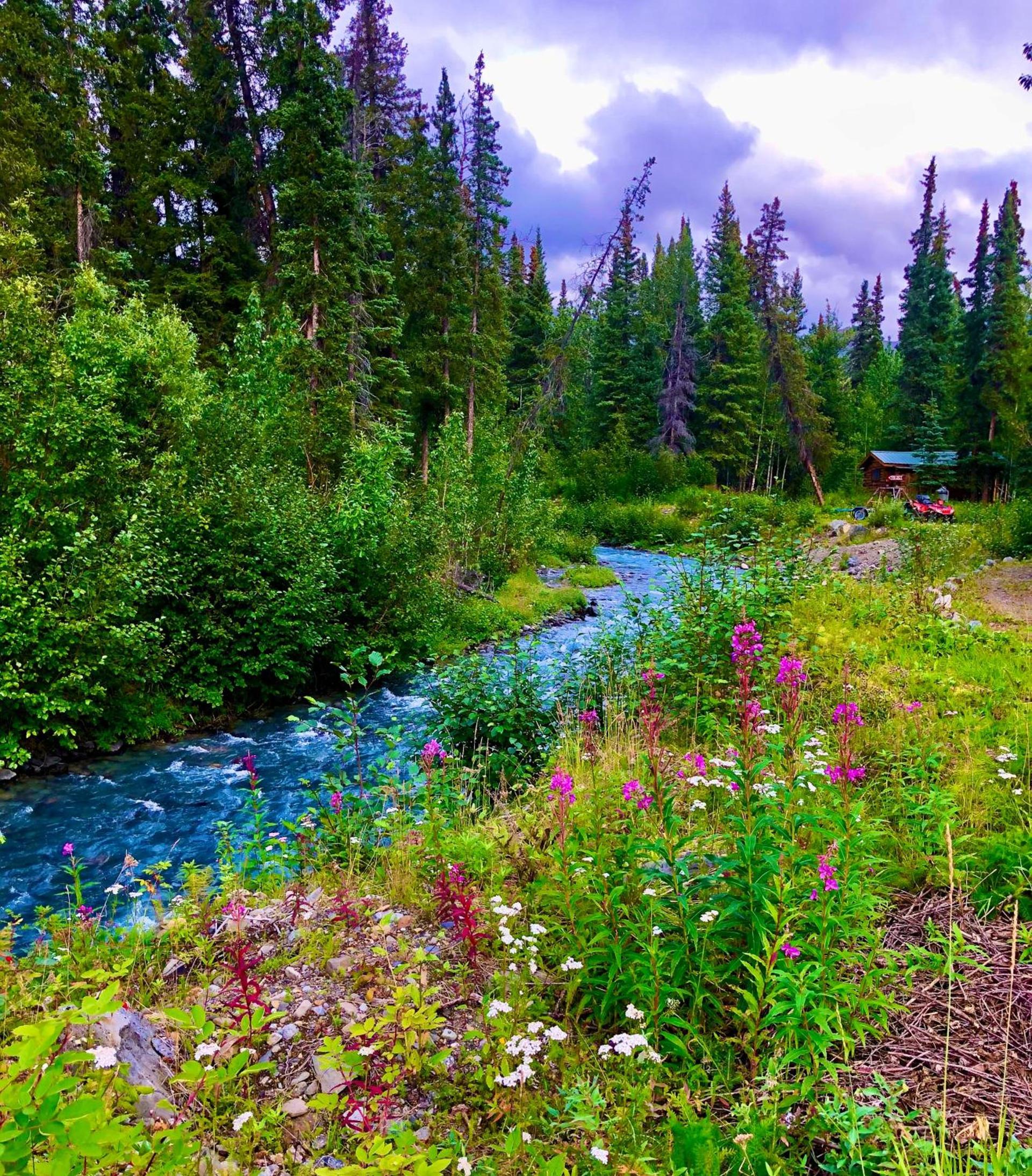 Carlo Creek Cabins photo 35