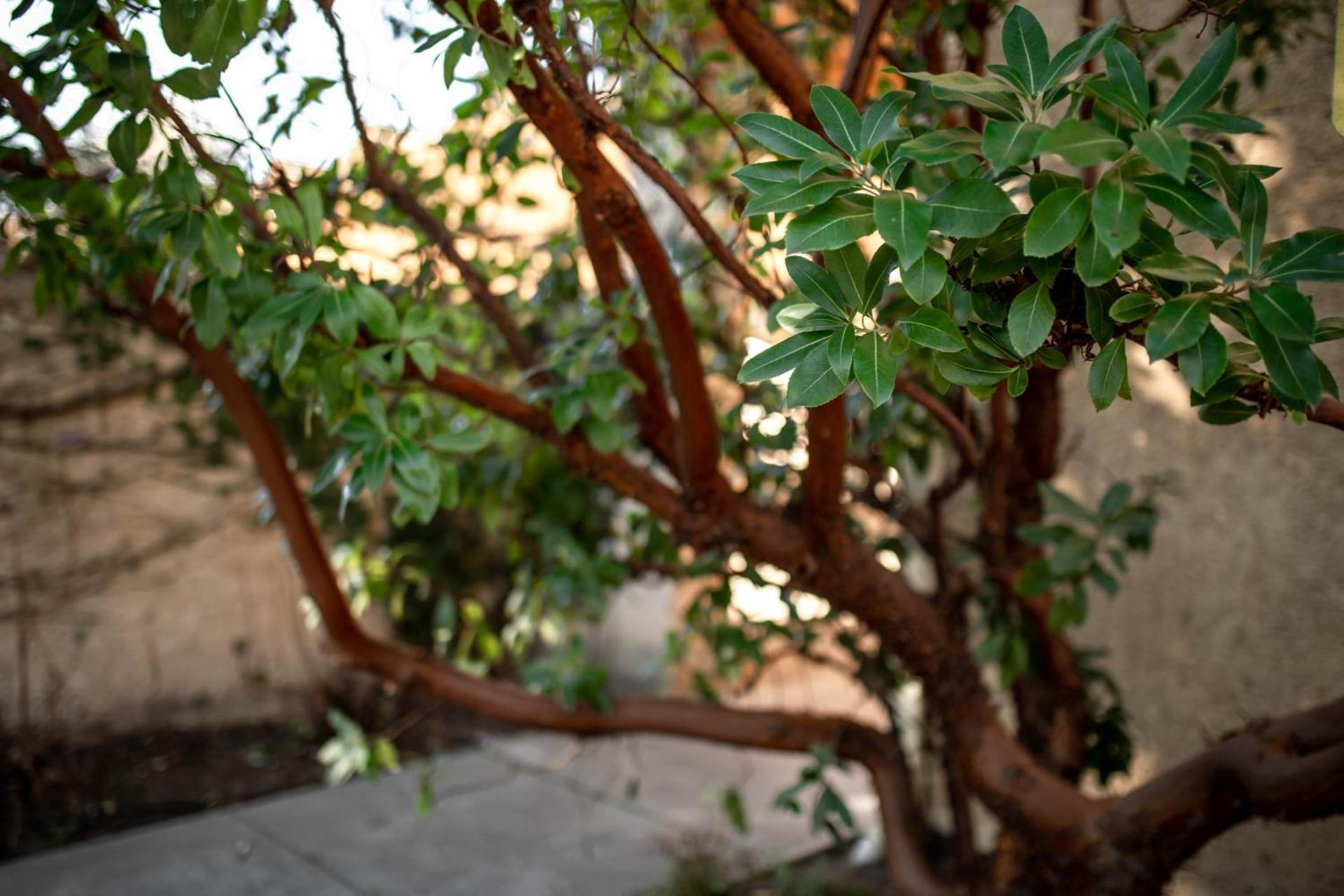 Seven Branches Venue and Inn photo 37