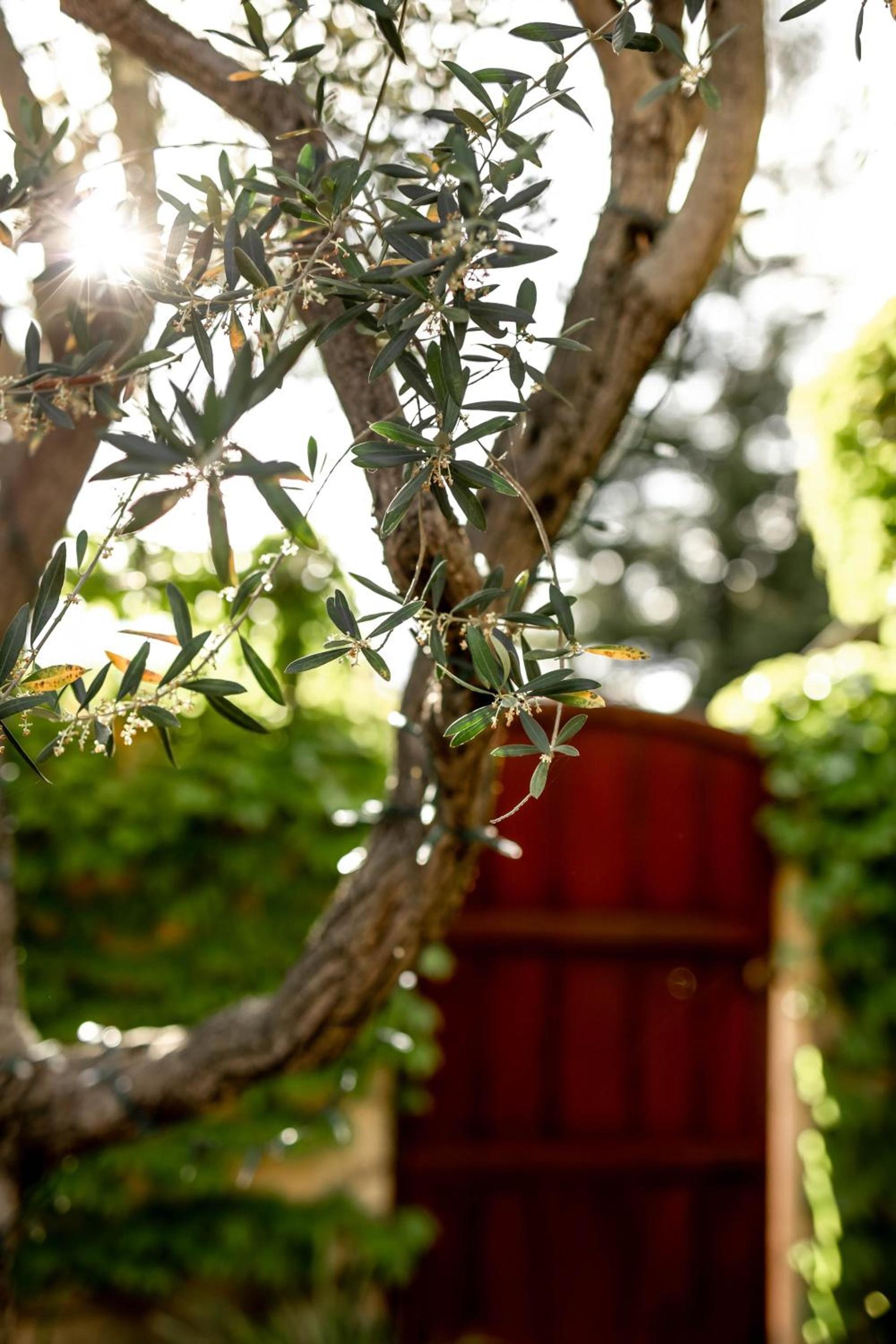 Seven Branches Venue and Inn photo 51