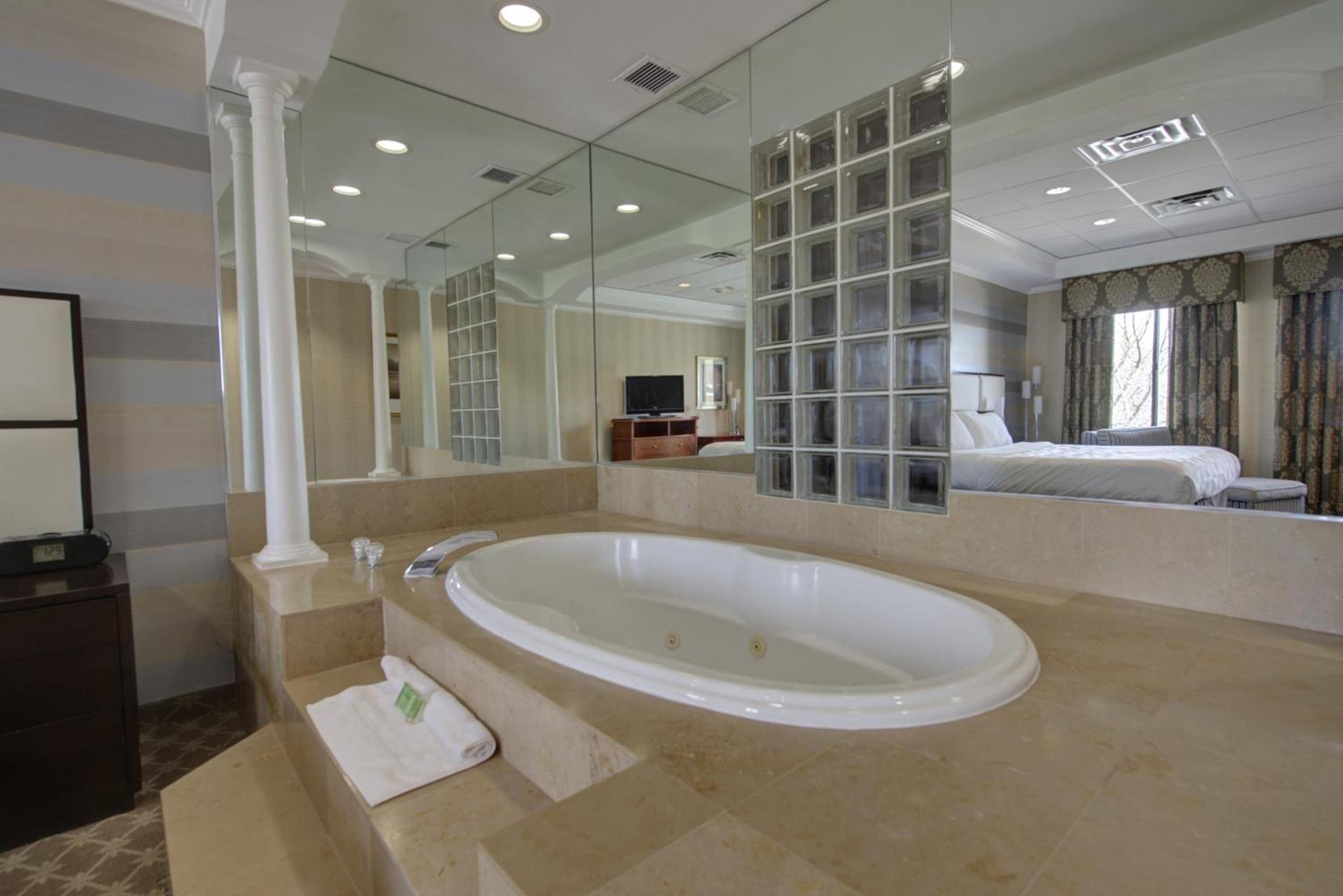 Holiday Inn Plainview-Long Island by IHG photo 32