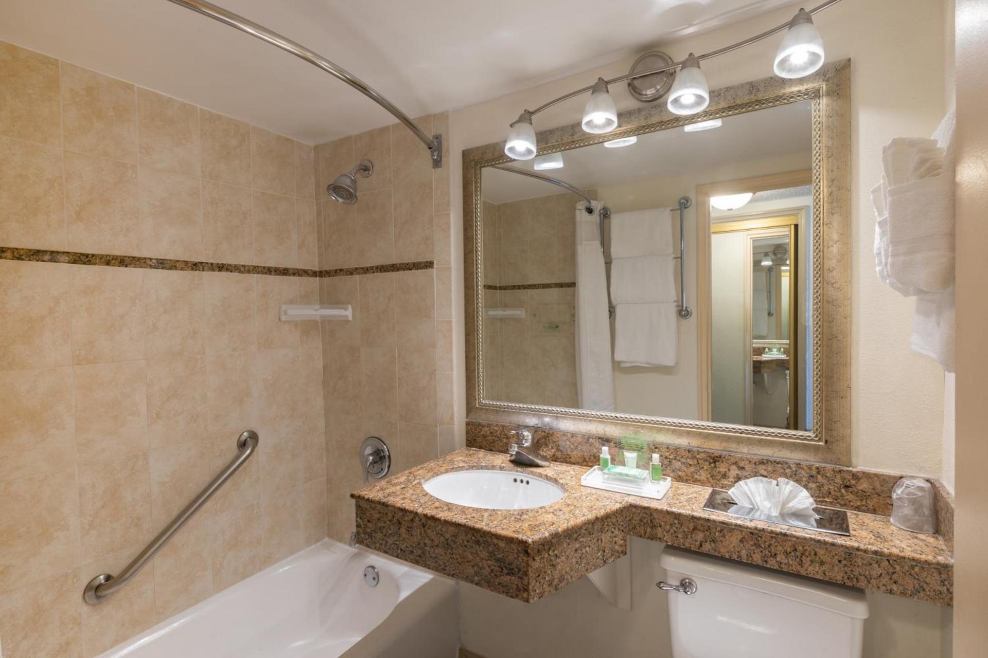 Holiday Inn Hotel Port of Miami-Downtown by IHG photo 46