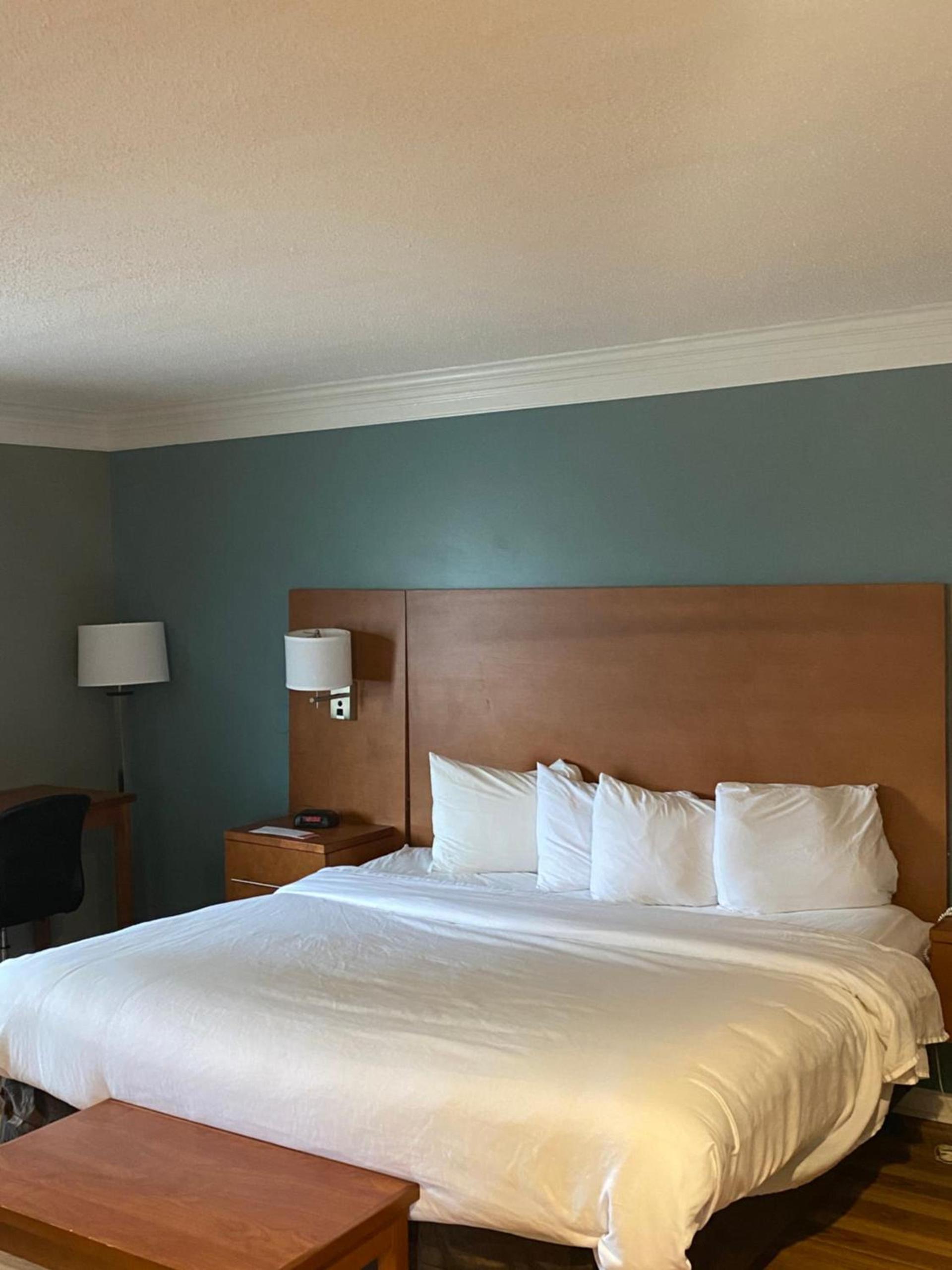 Econo Lodge at the Falls North photo 45