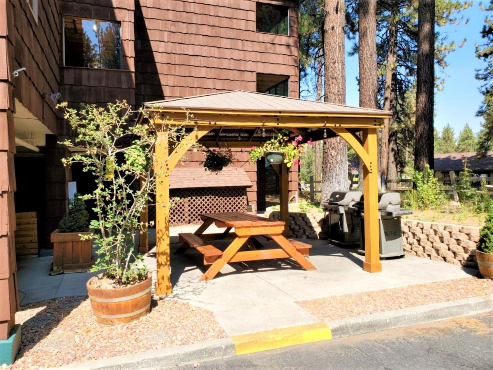 Snow Lake Lodge photo 12