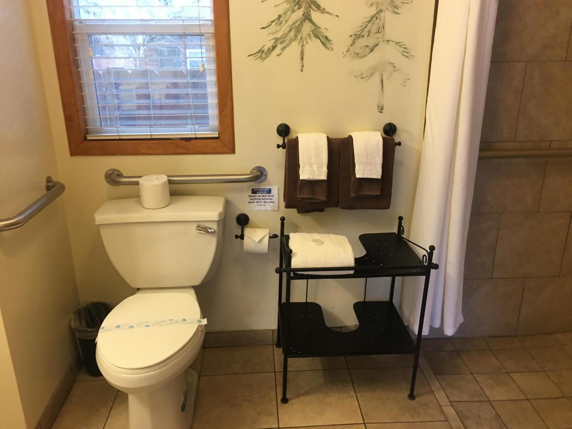Bear Creek Resort photo 67