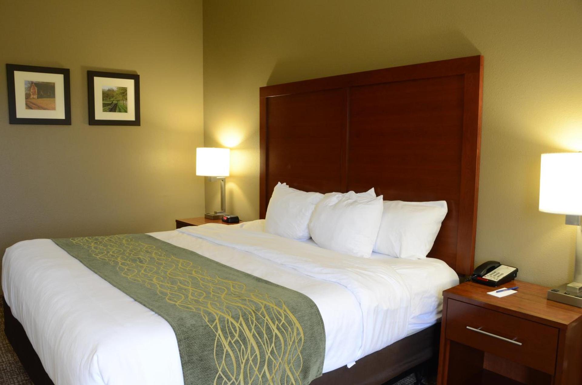 Comfort Inn & Suites Cave City photo 43