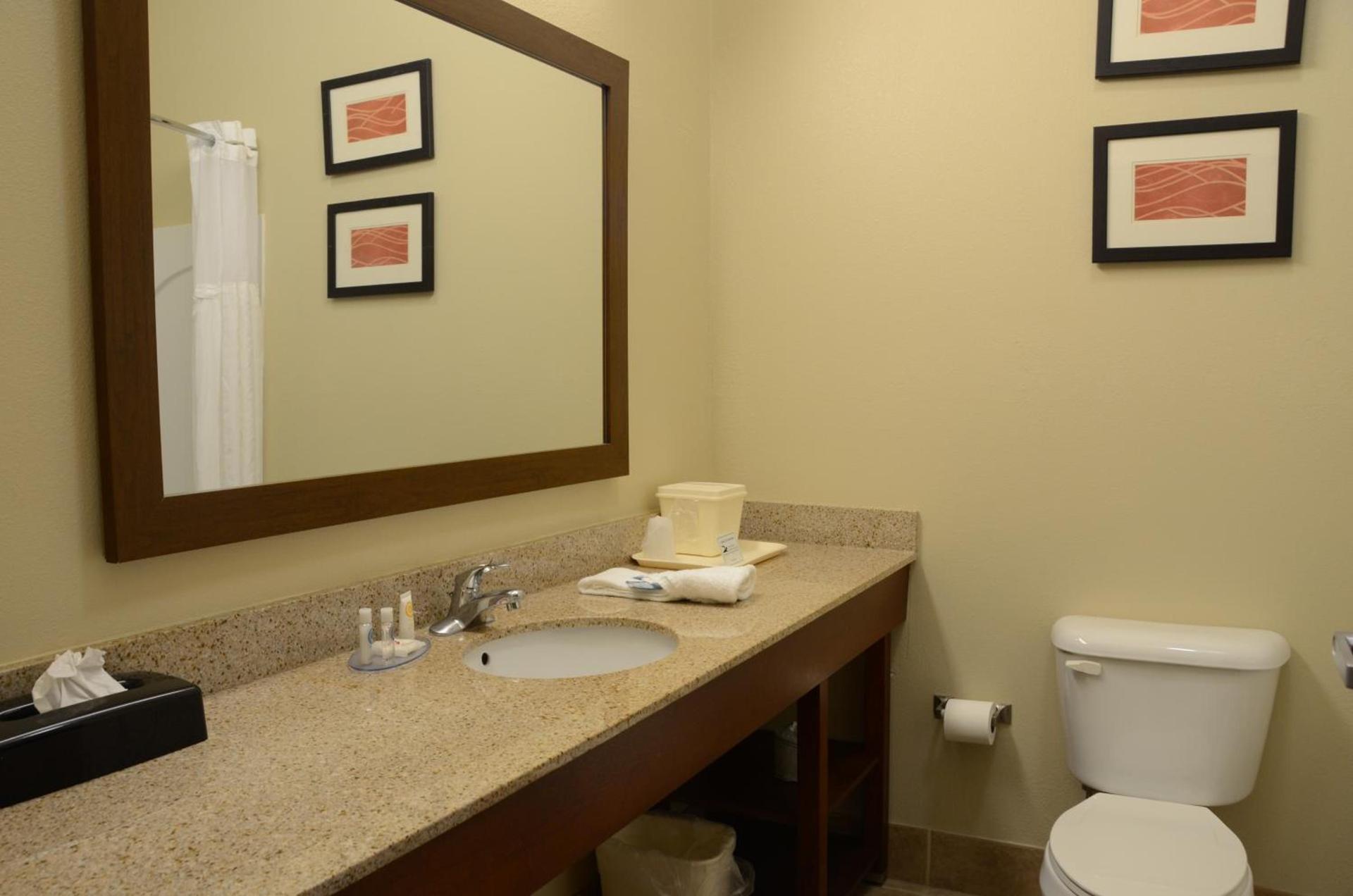 Comfort Inn & Suites Cave City photo 39