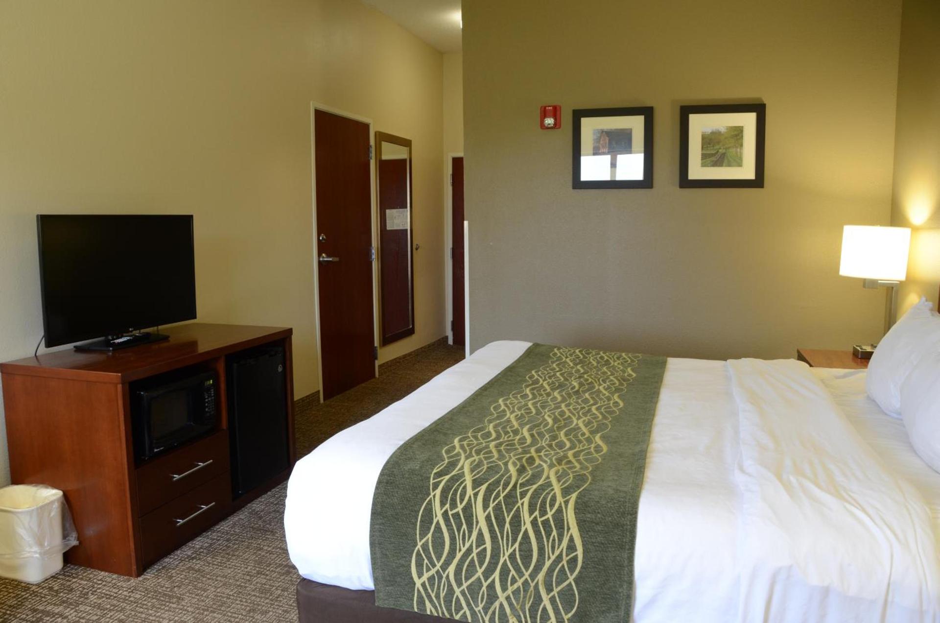 Comfort Inn & Suites Cave City photo 41