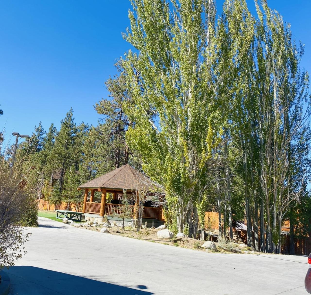Bear Creek Resort photo 83