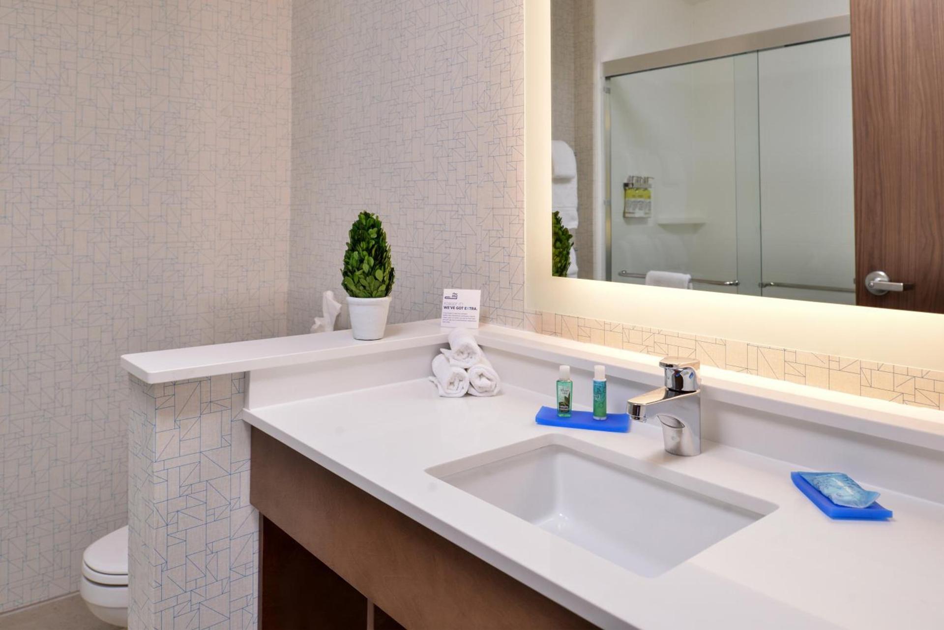 Holiday Inn Express & Suites Alachua - Gainesville Area by IHG photo 16