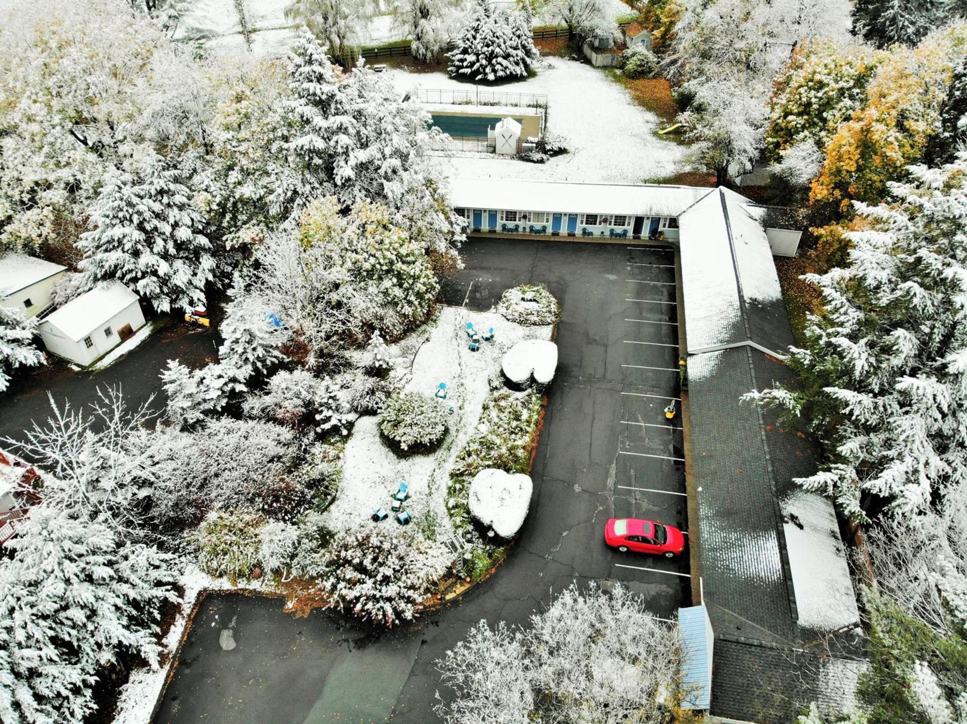 Maple Terrace Motel photo 10