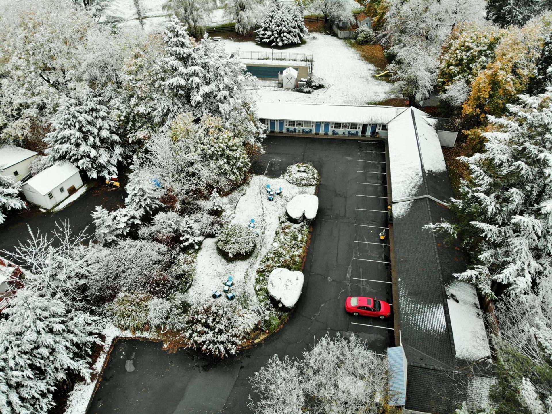 Maple Terrace Motel photo 87