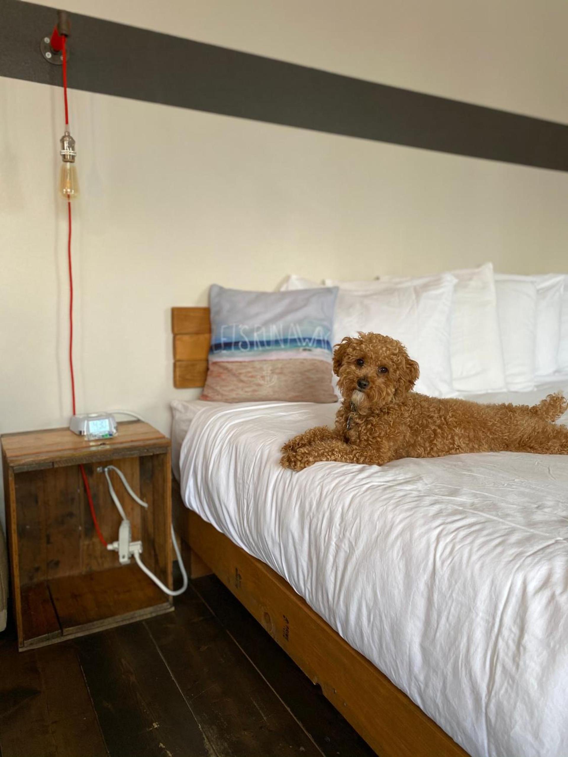 Ashore Hotel photo 12