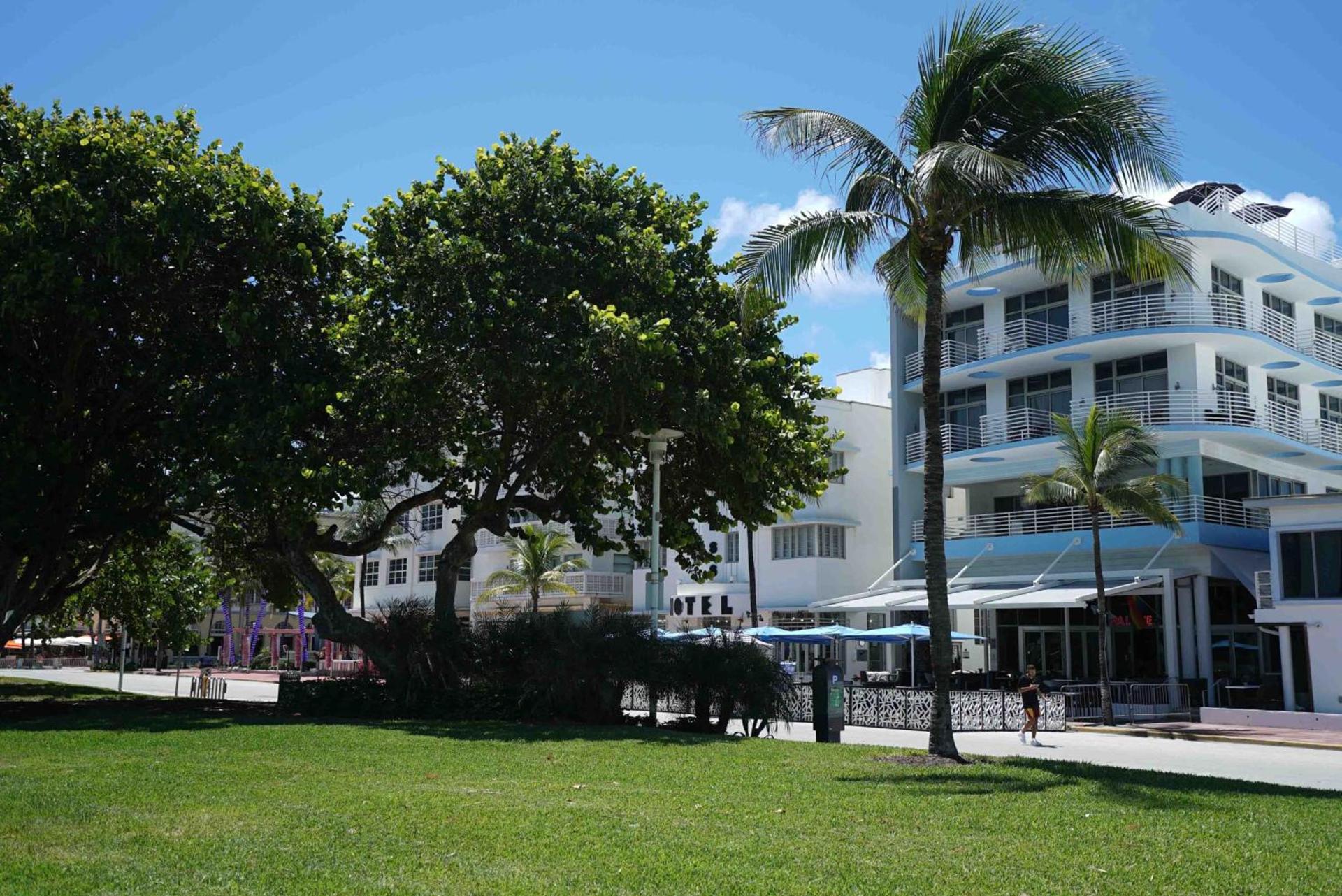 Deluxe apartments at the Congress photo 17