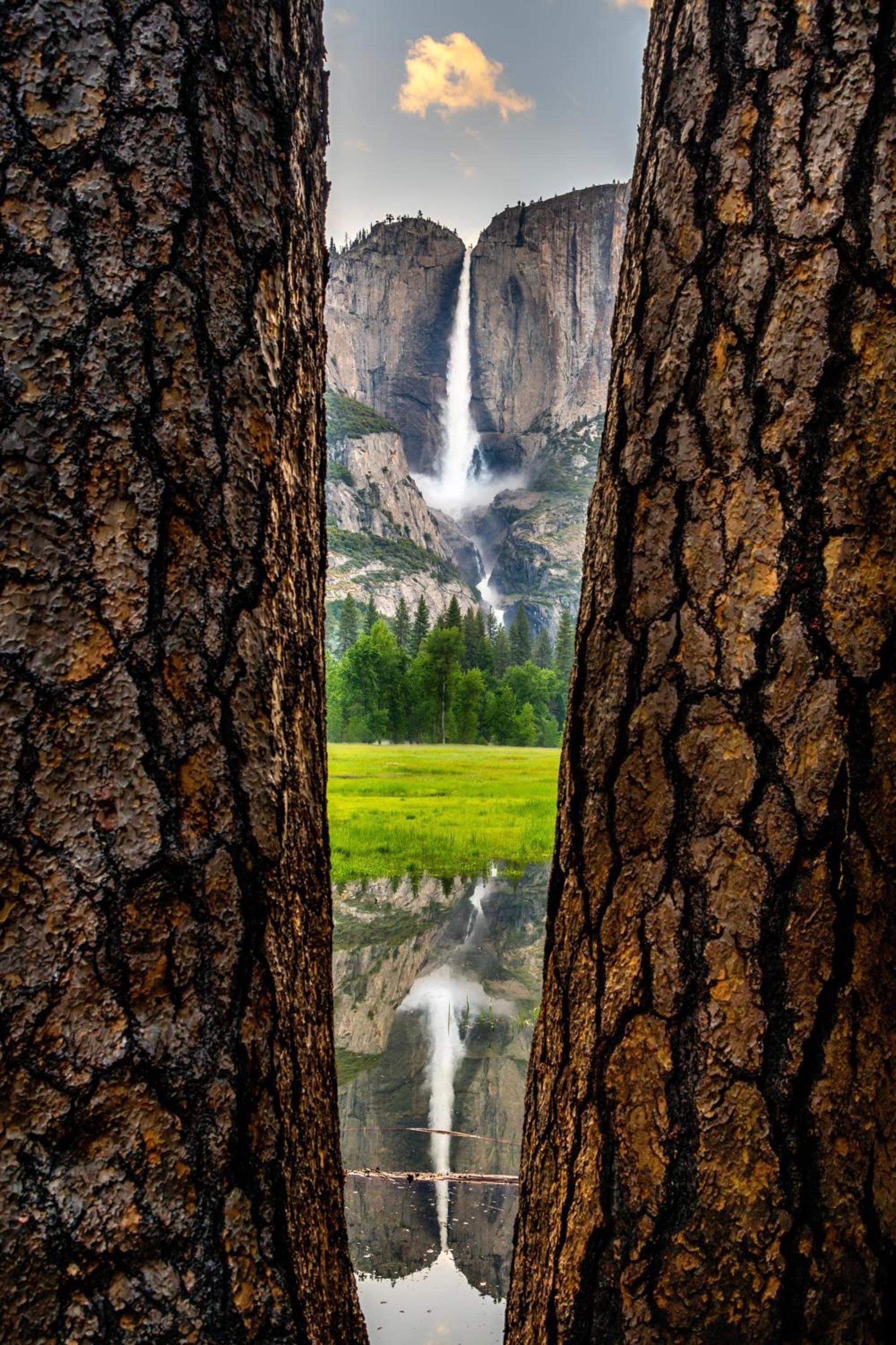 Yosemite Valley Lodge photo 12