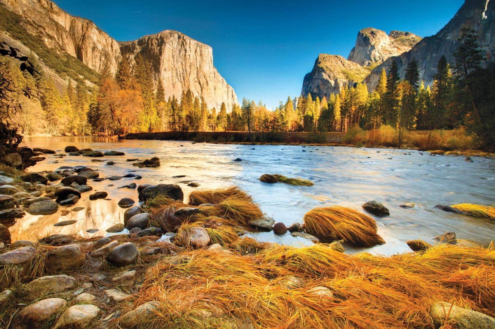 Yosemite Valley Lodge photo 27