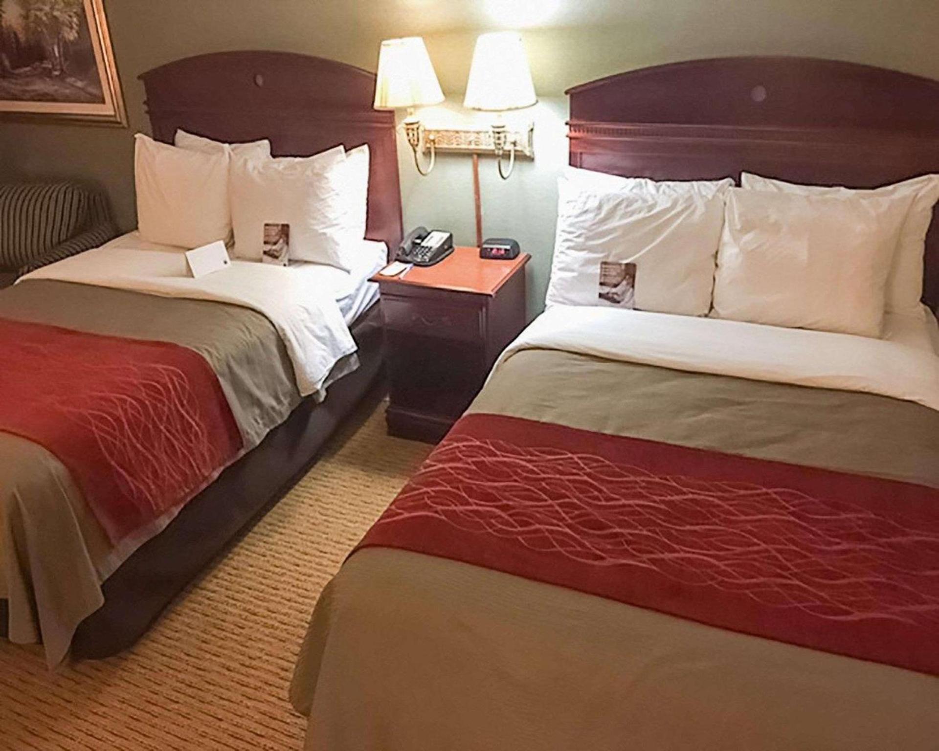 Comfort Inn Springfield photo 24