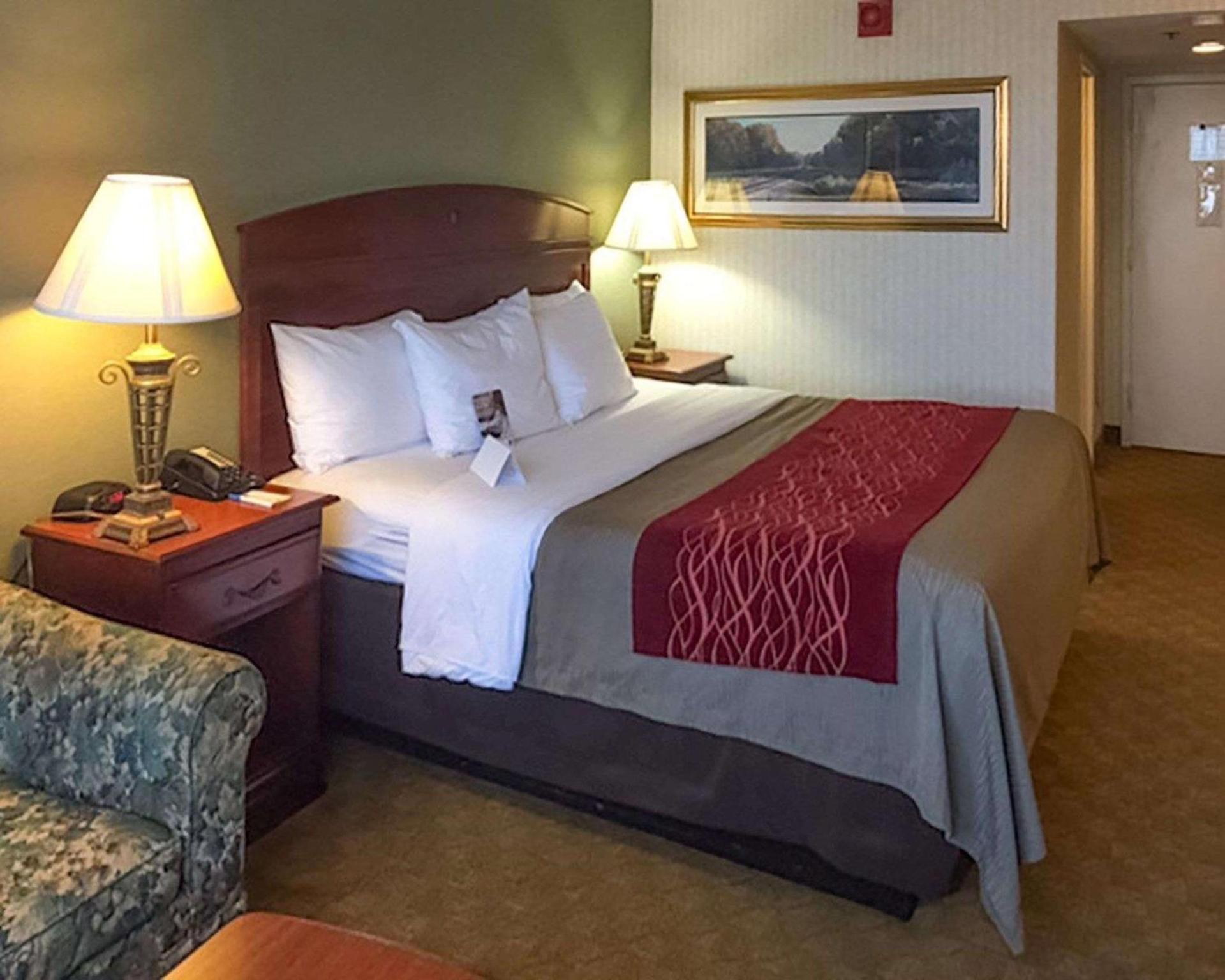 Comfort Inn Springfield photo 22