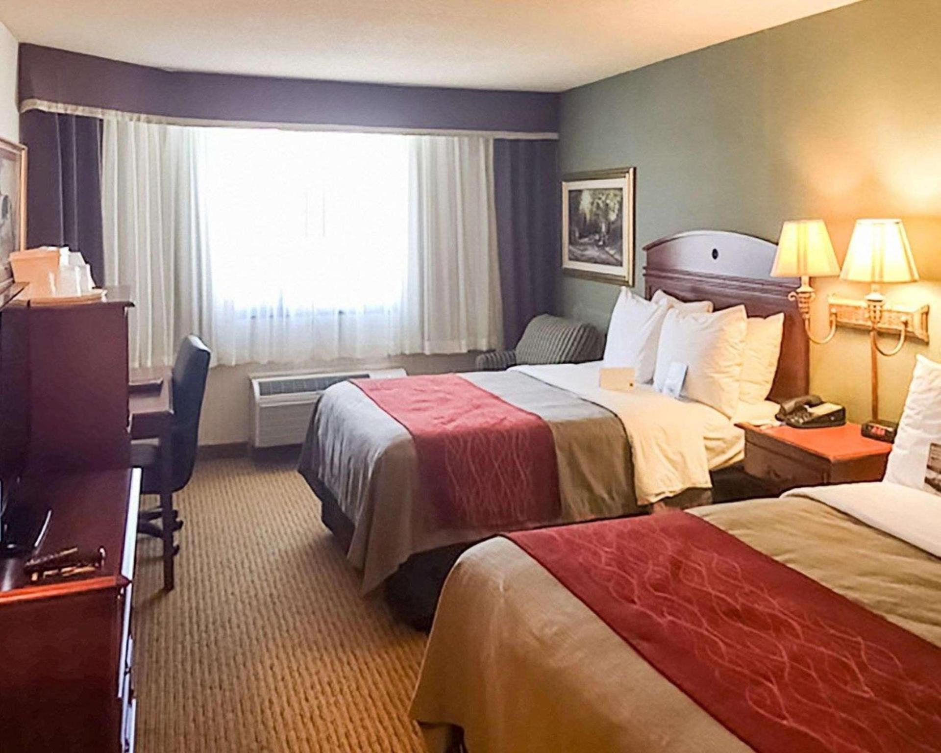 Comfort Inn Springfield photo 20
