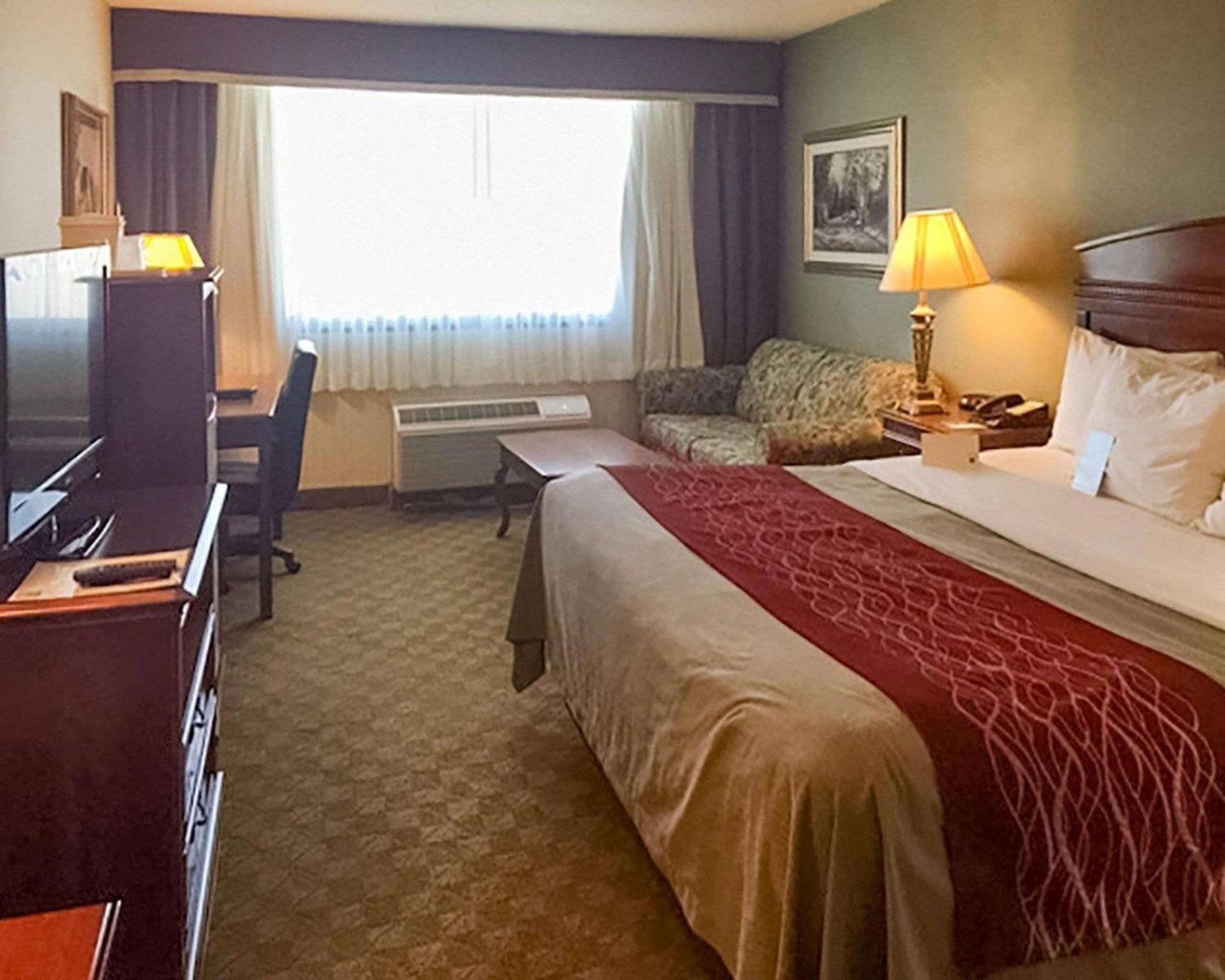 Comfort Inn Springfield photo 17
