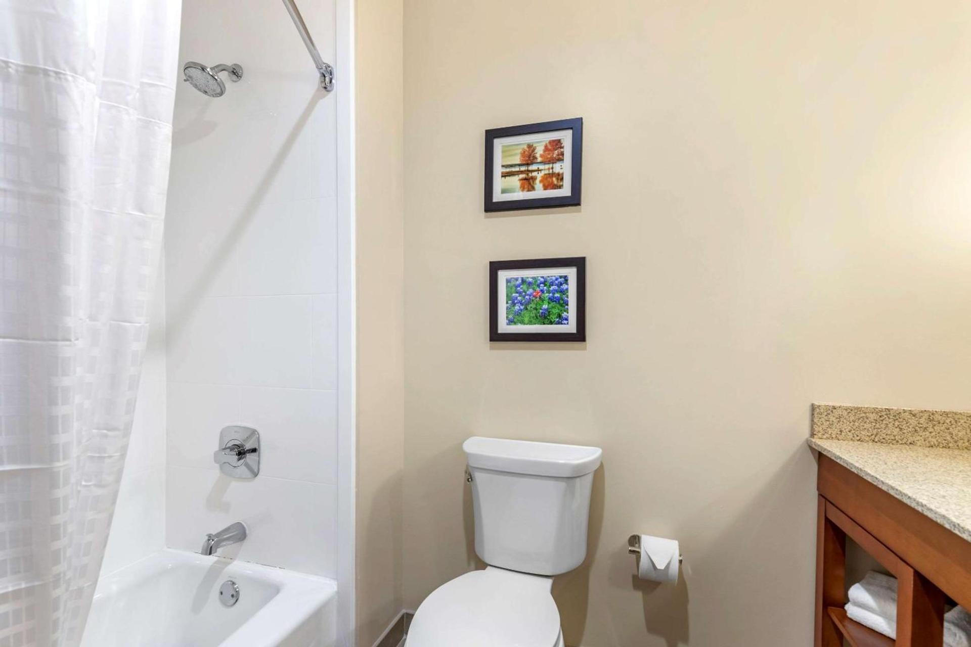 Comfort Suites San Antonio Ft Sam Houston-SAMMC Area photo 7