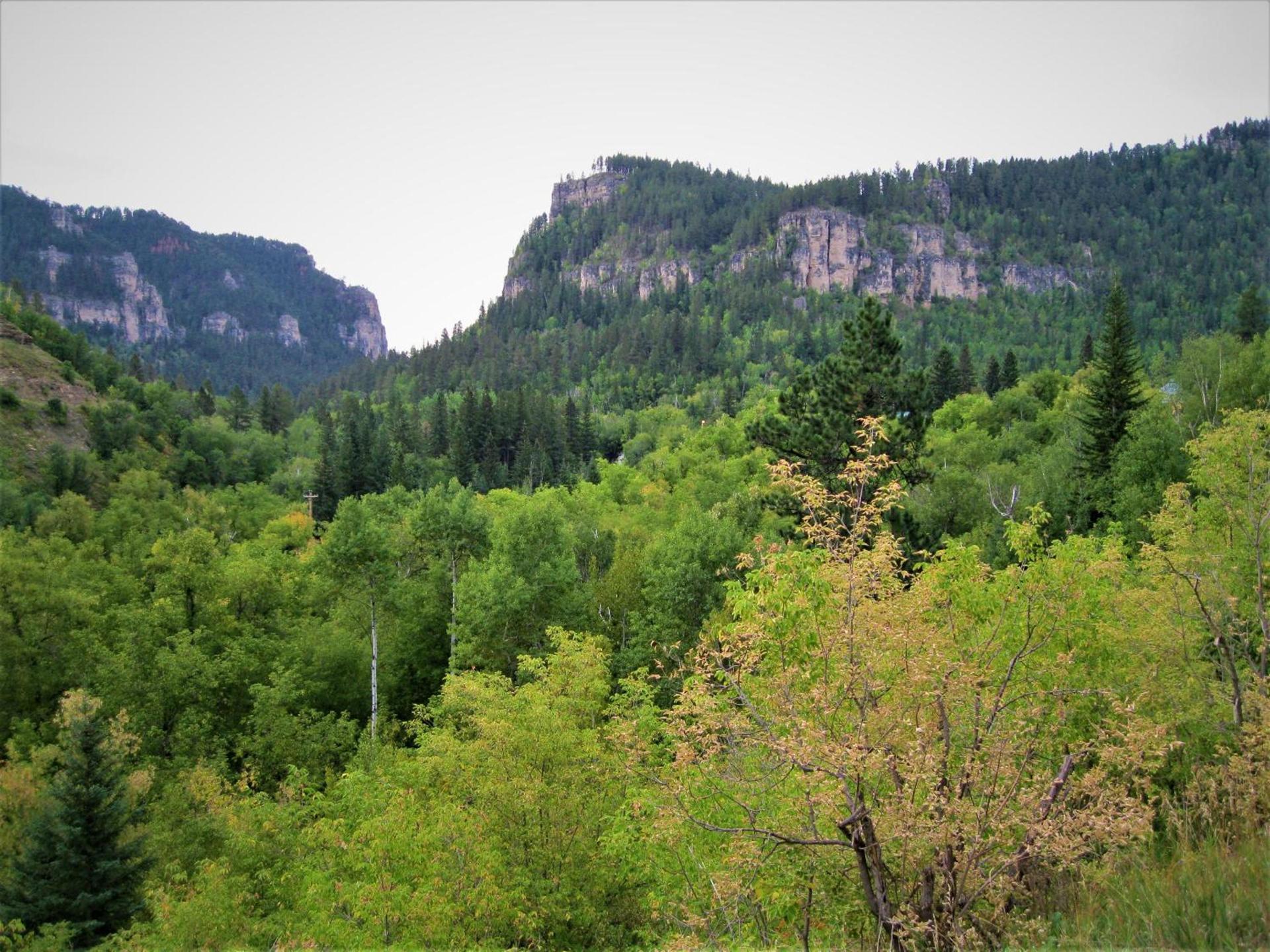 Spearfish Canyon Lodge photo 4