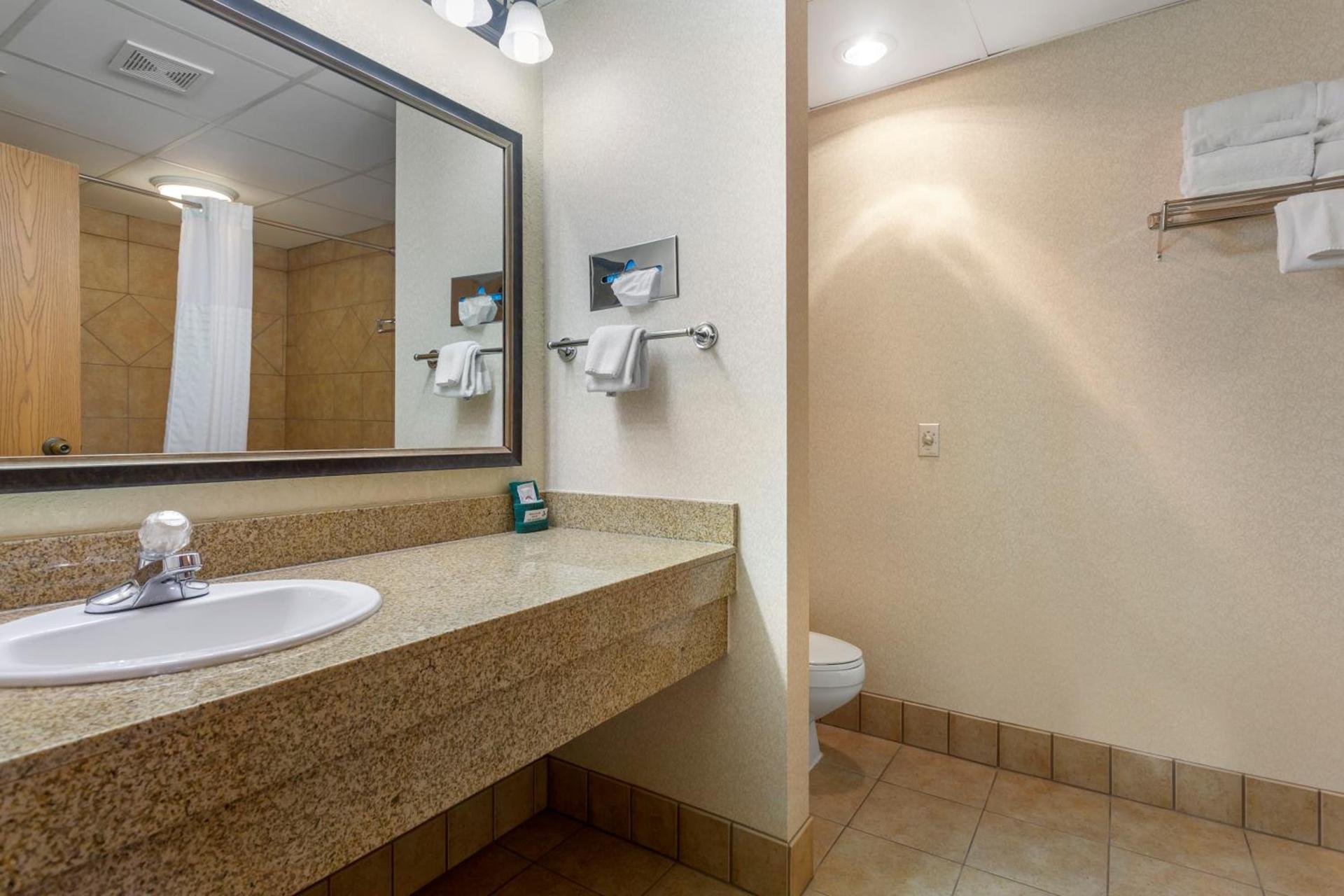 Comfort Inn at Thousand Hills photo 54