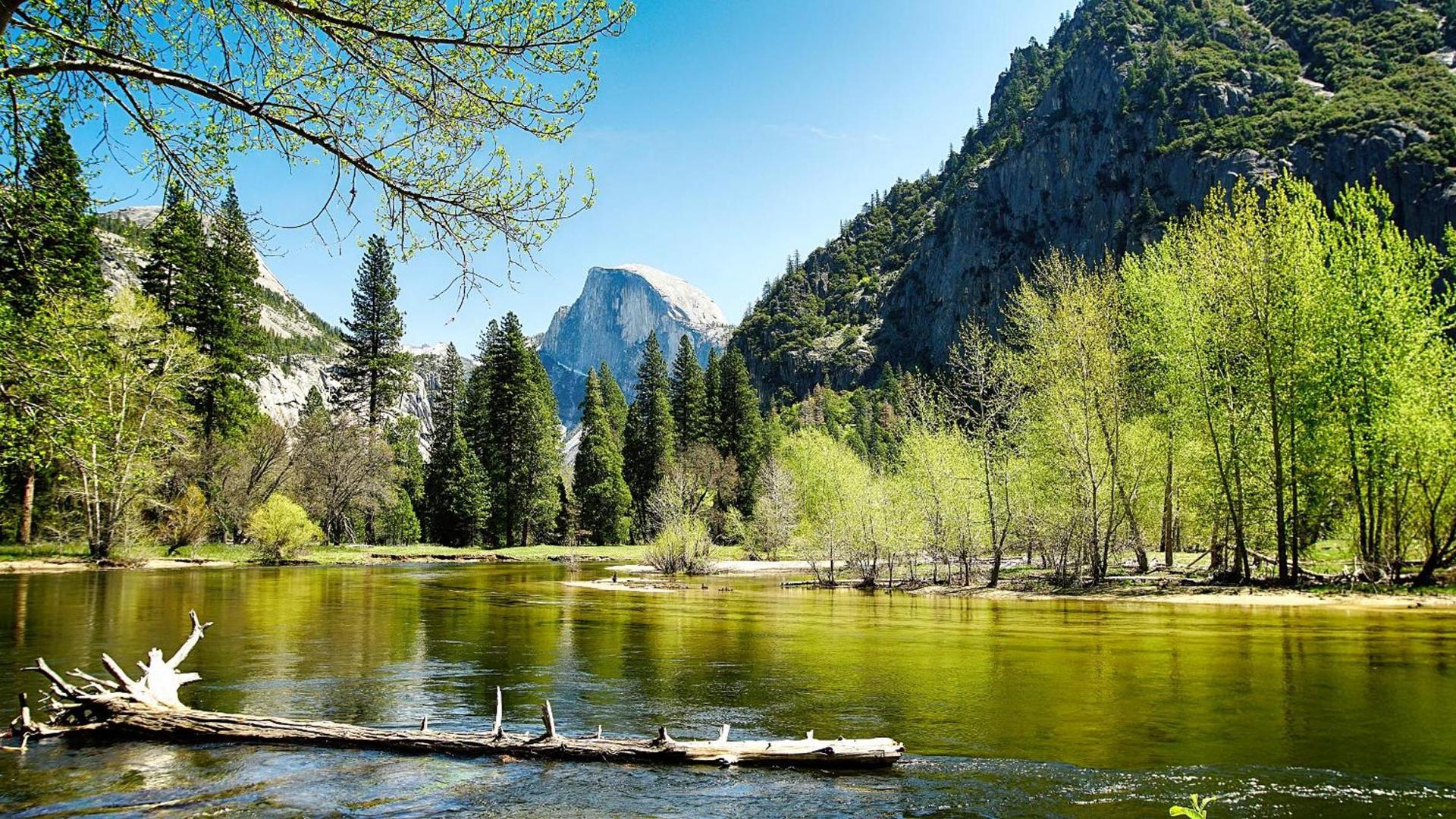 The Ahwahnee photo 13