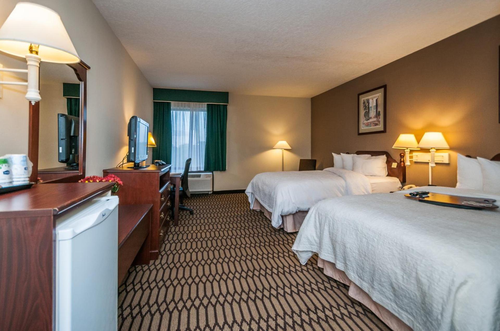 Holiday Inn - St. Petersburg West by IHG photo 3