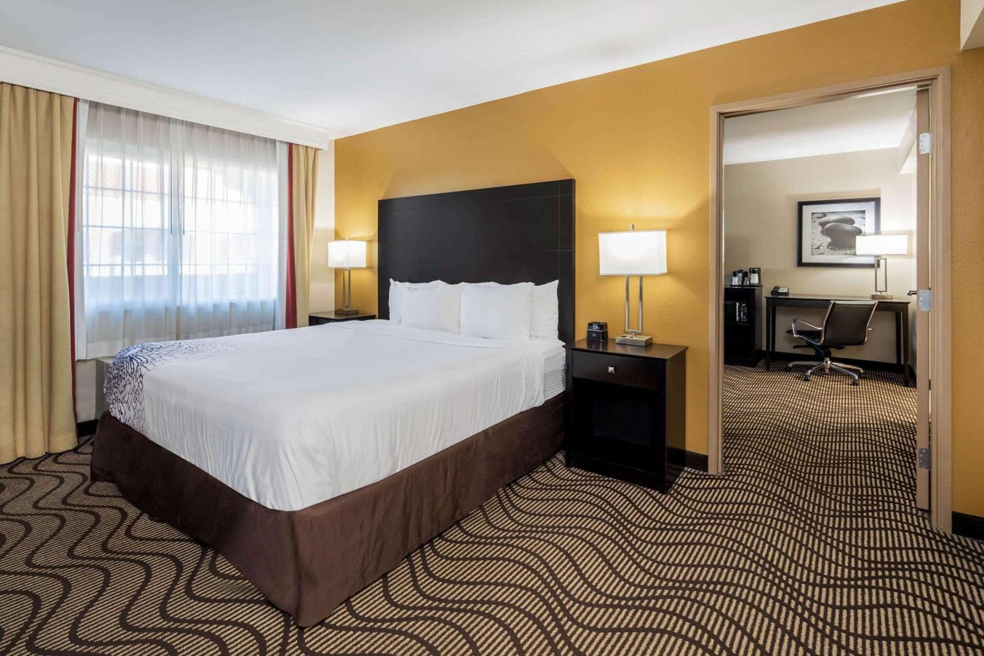 La Quinta by Wyndham Carlsbad - Legoland Area photo 38