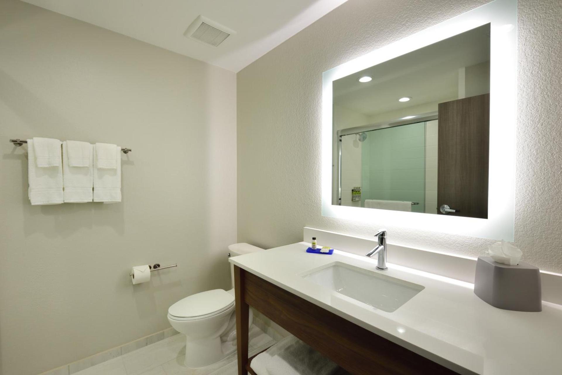 Holiday Inn Express & Suites Spring - Woodlands Area by IHG photo 22