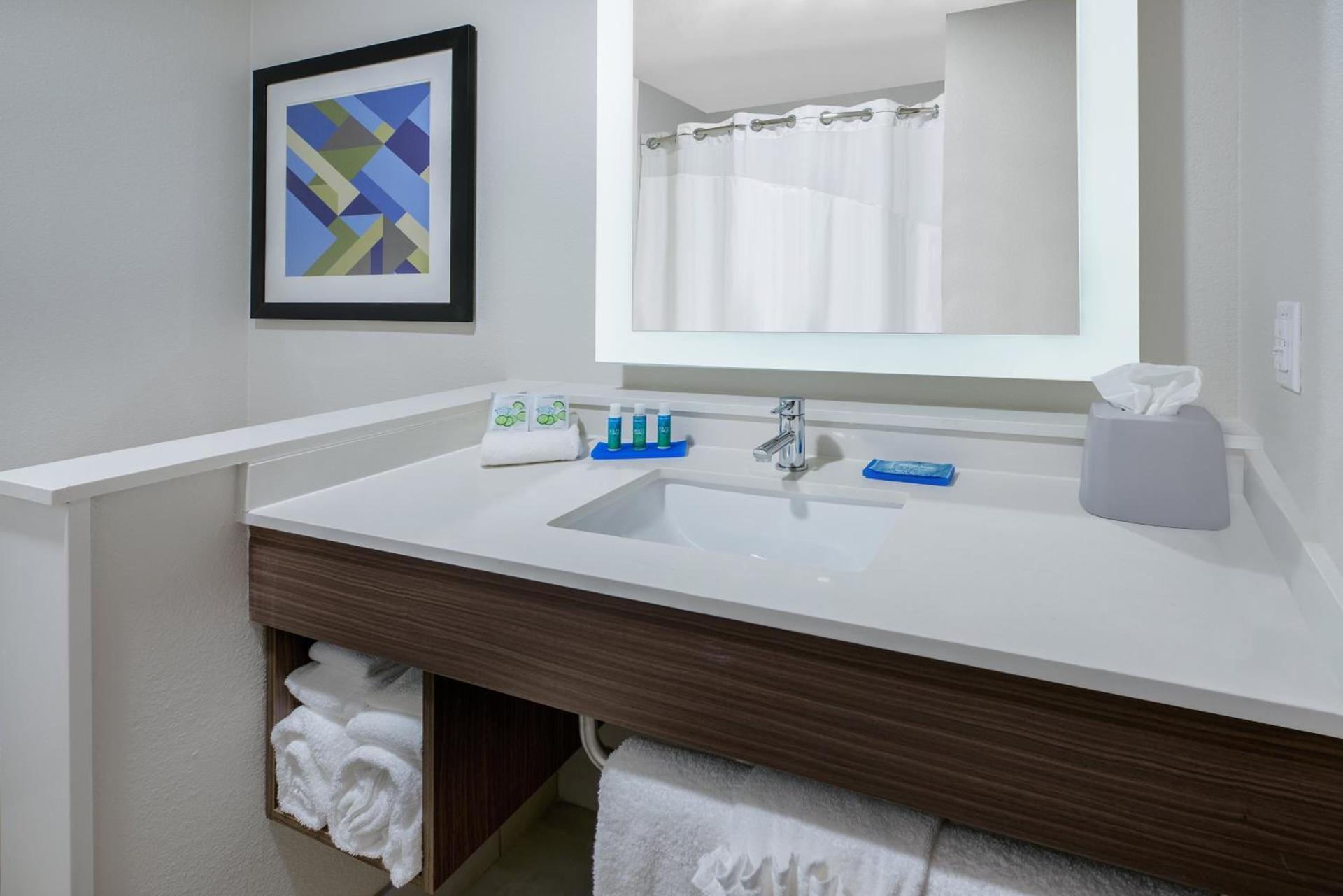 Holiday Inn Express & Suites Bryan - College Station by IHG photo 25