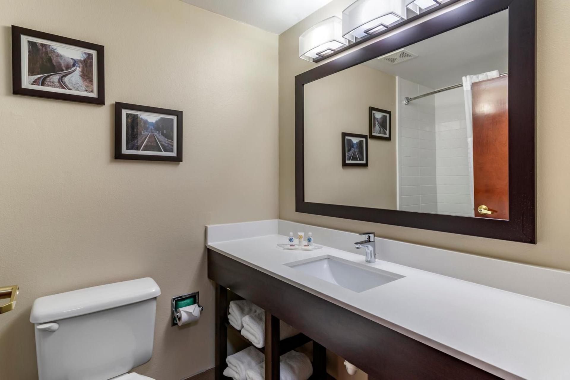 Comfort Suites near Robins Air Force Base photo 40