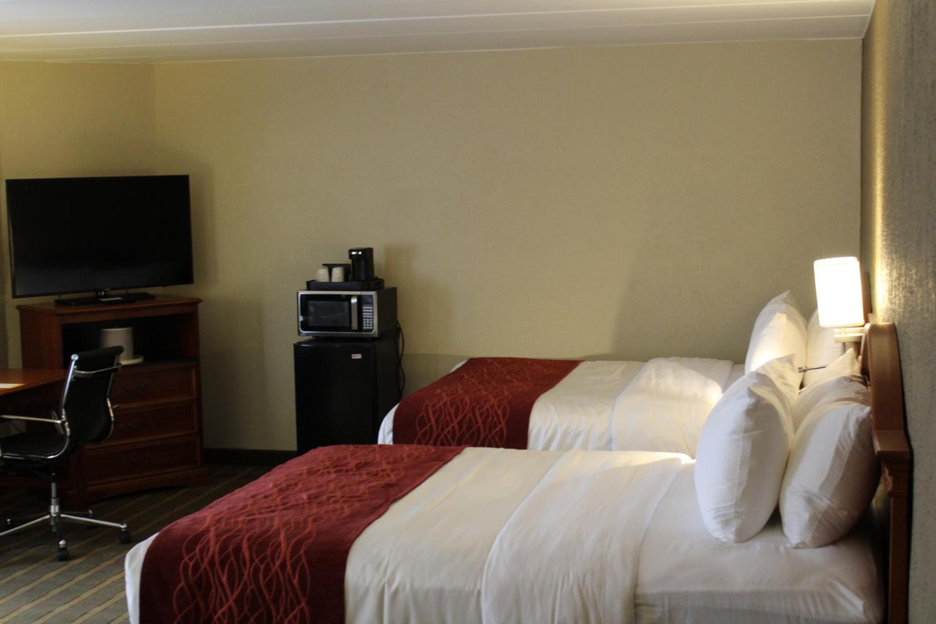 Comfort Inn University Center photo 12