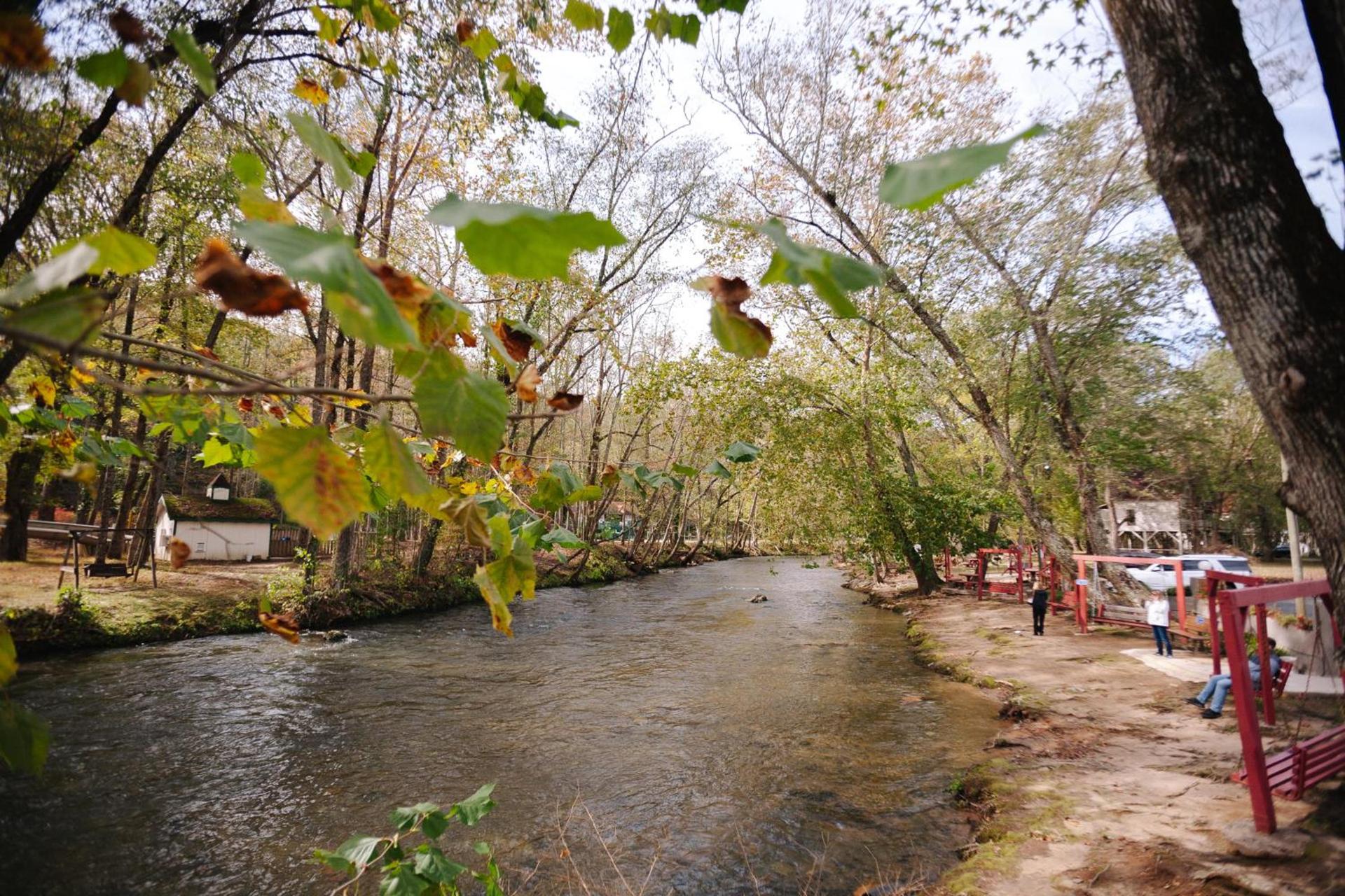 Riverbend Motel & Cabins photo 28