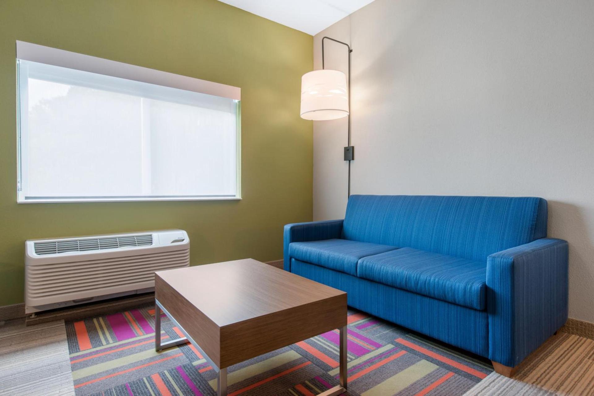Holiday Inn Express & Suites Alachua - Gainesville Area by IHG photo 42