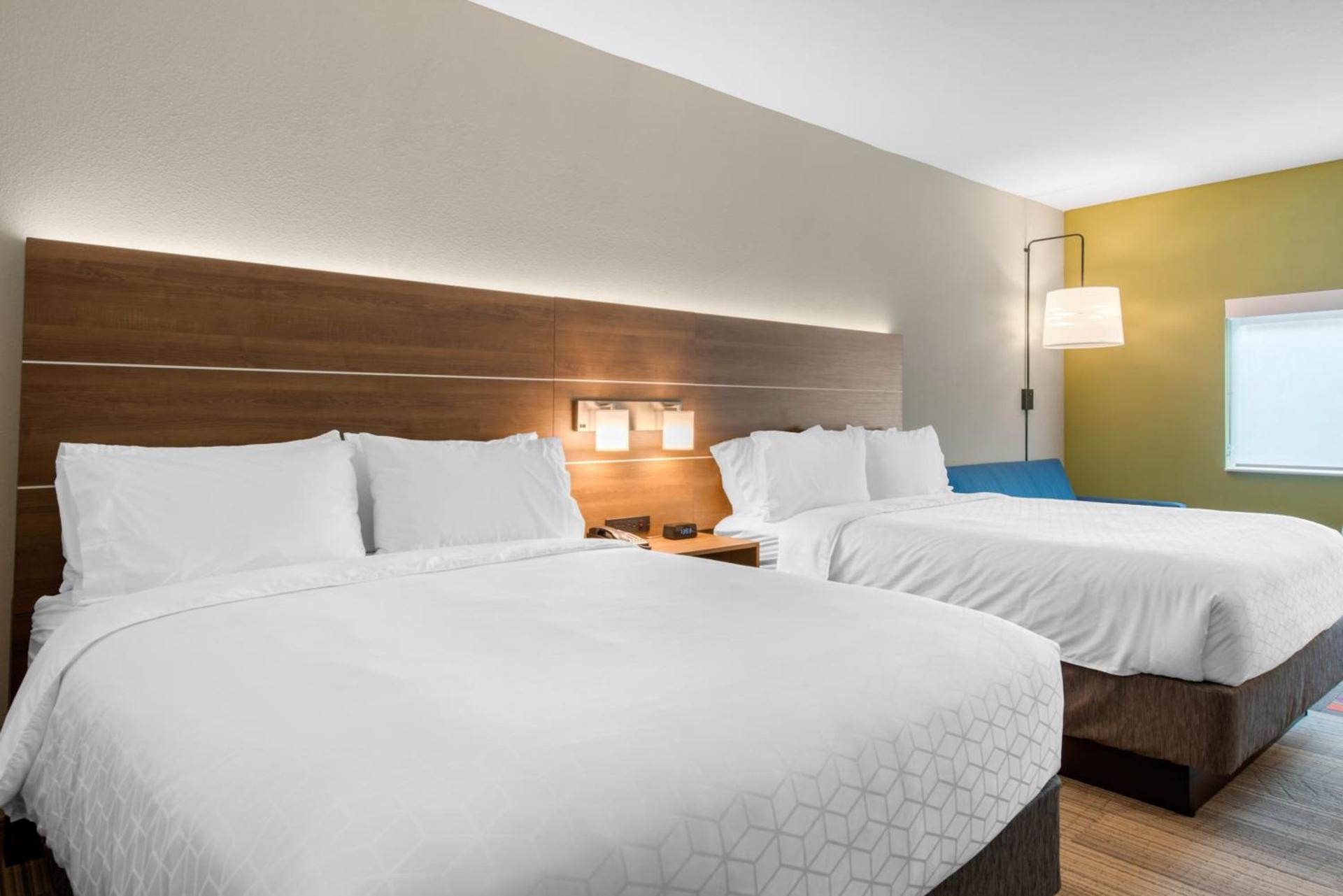 Holiday Inn Express & Suites Alachua - Gainesville Area by IHG photo 45
