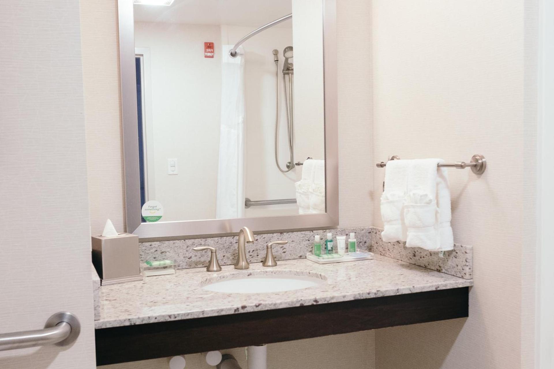 Holiday Inn and Suites East Peoria by IHG photo 53