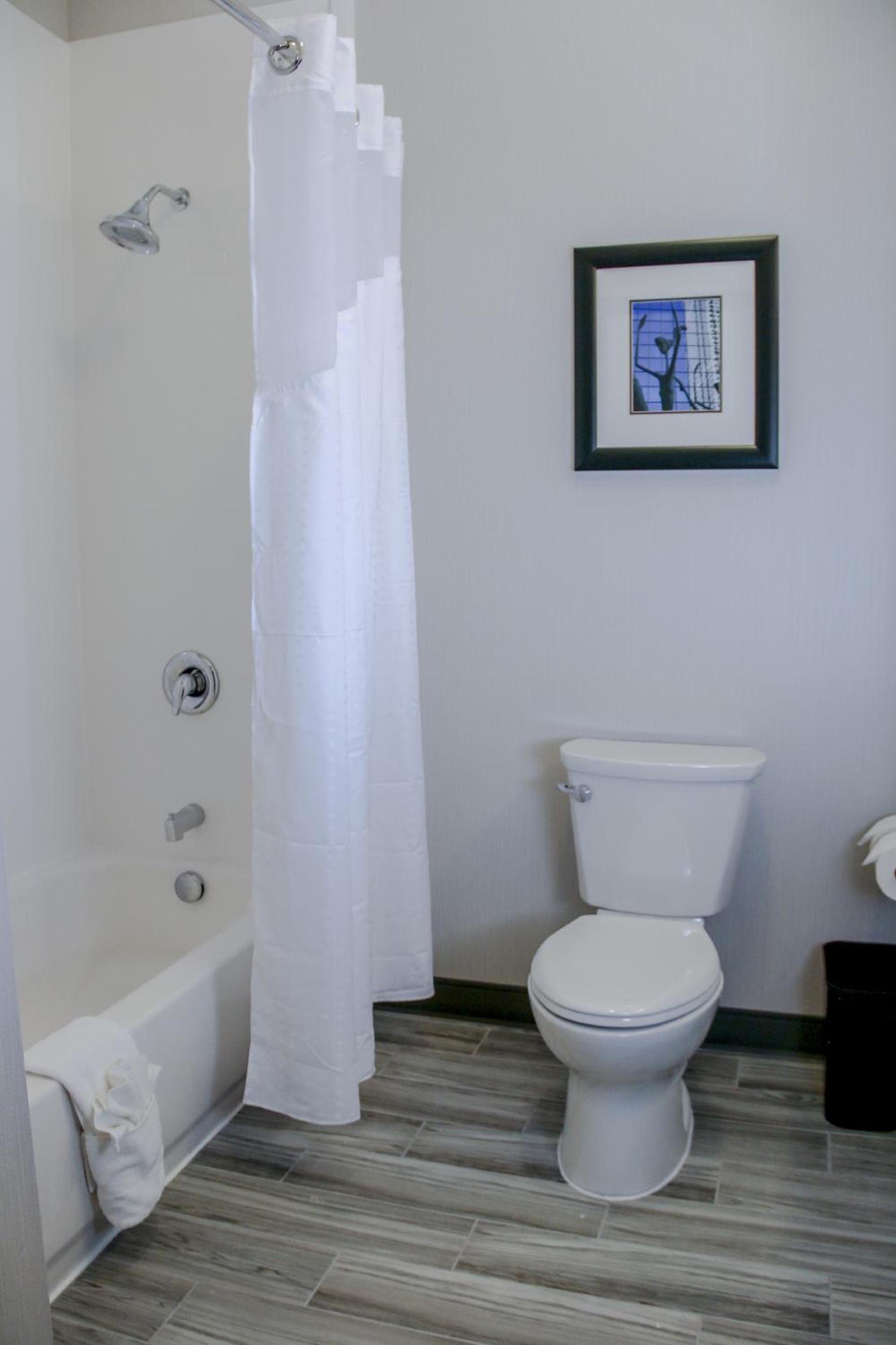 Holiday Inn & Suites Denver Tech Center-Centennial by IHG photo 14