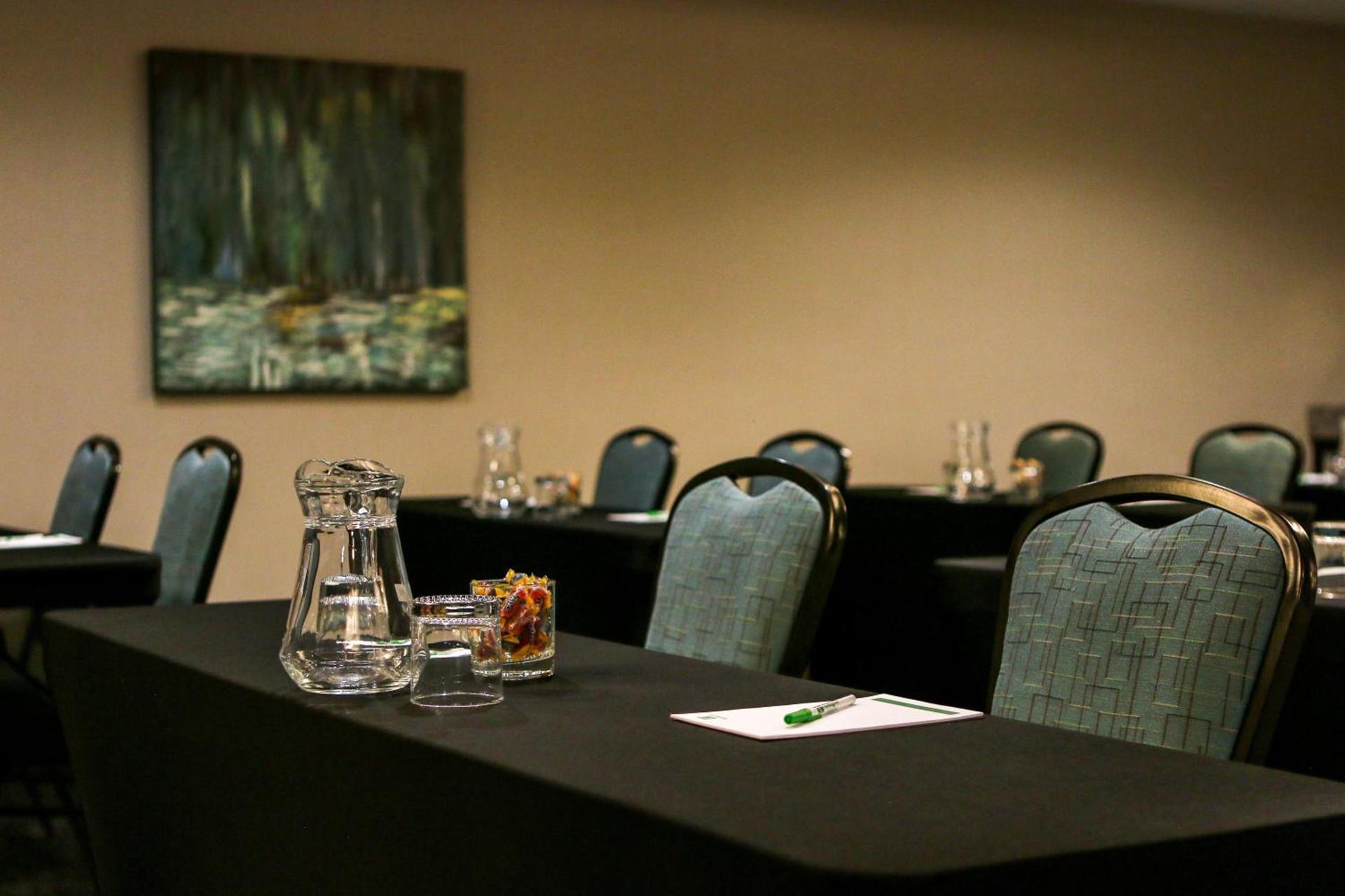 Holiday Inn & Suites Denver Tech Center-Centennial by IHG photo 69