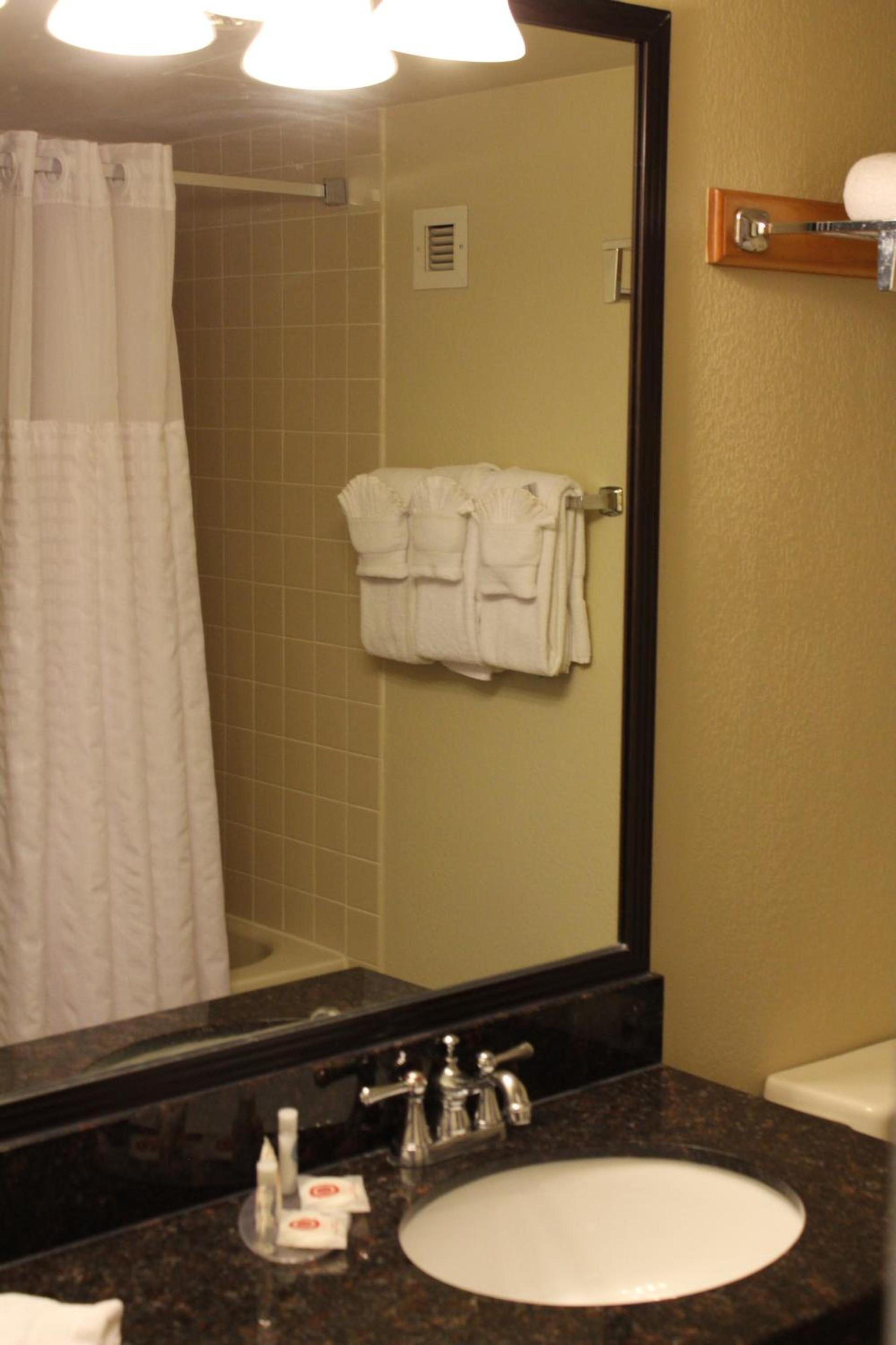 Comfort Inn University Center photo 20